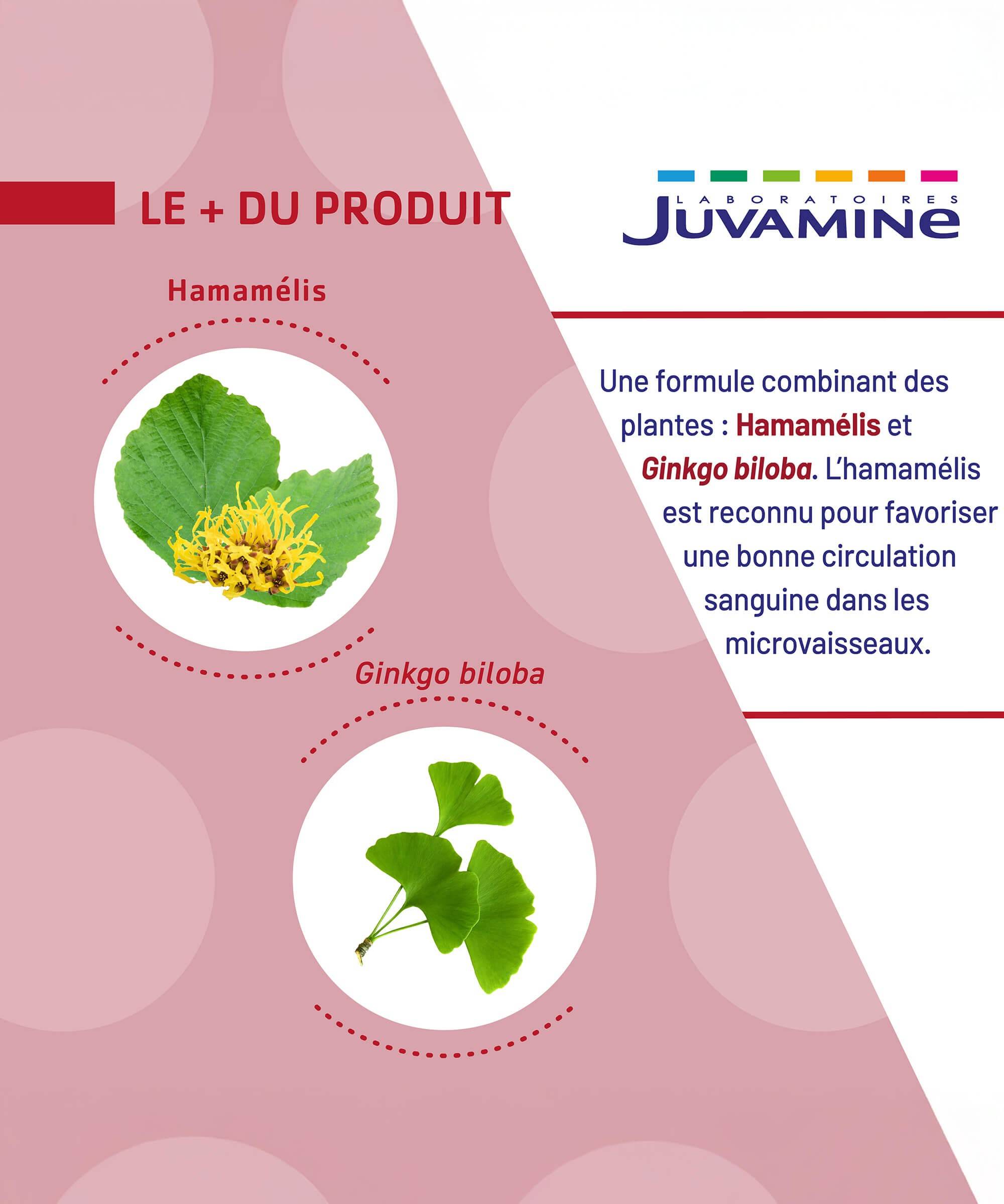 Ginkgo Hamamélis - Circulation 30 gélules d'origine végétale | Juvamine