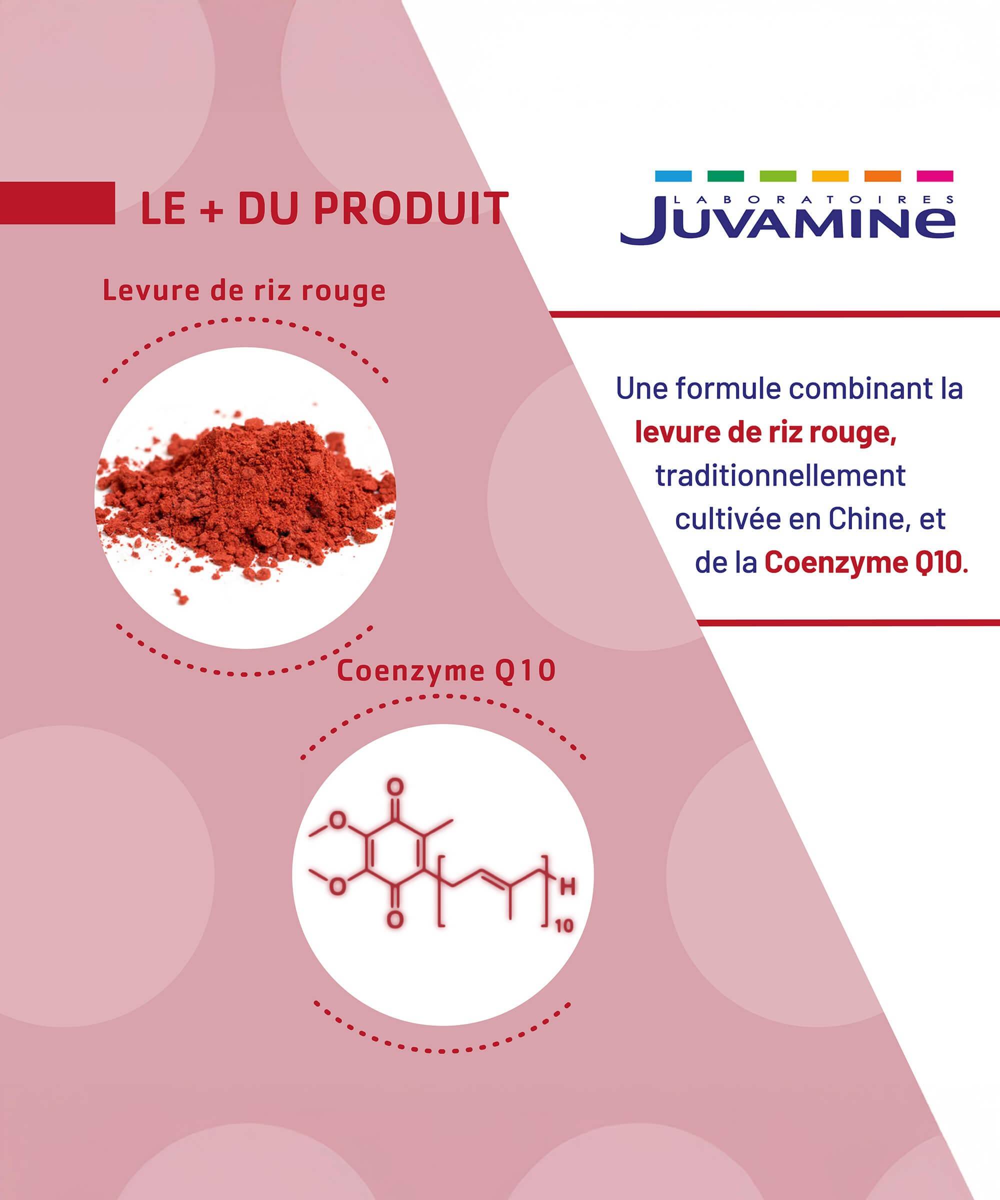 Levure de Riz Rouge Coenzyme Q10 - Équilibre 30 comprimés | Juvamine