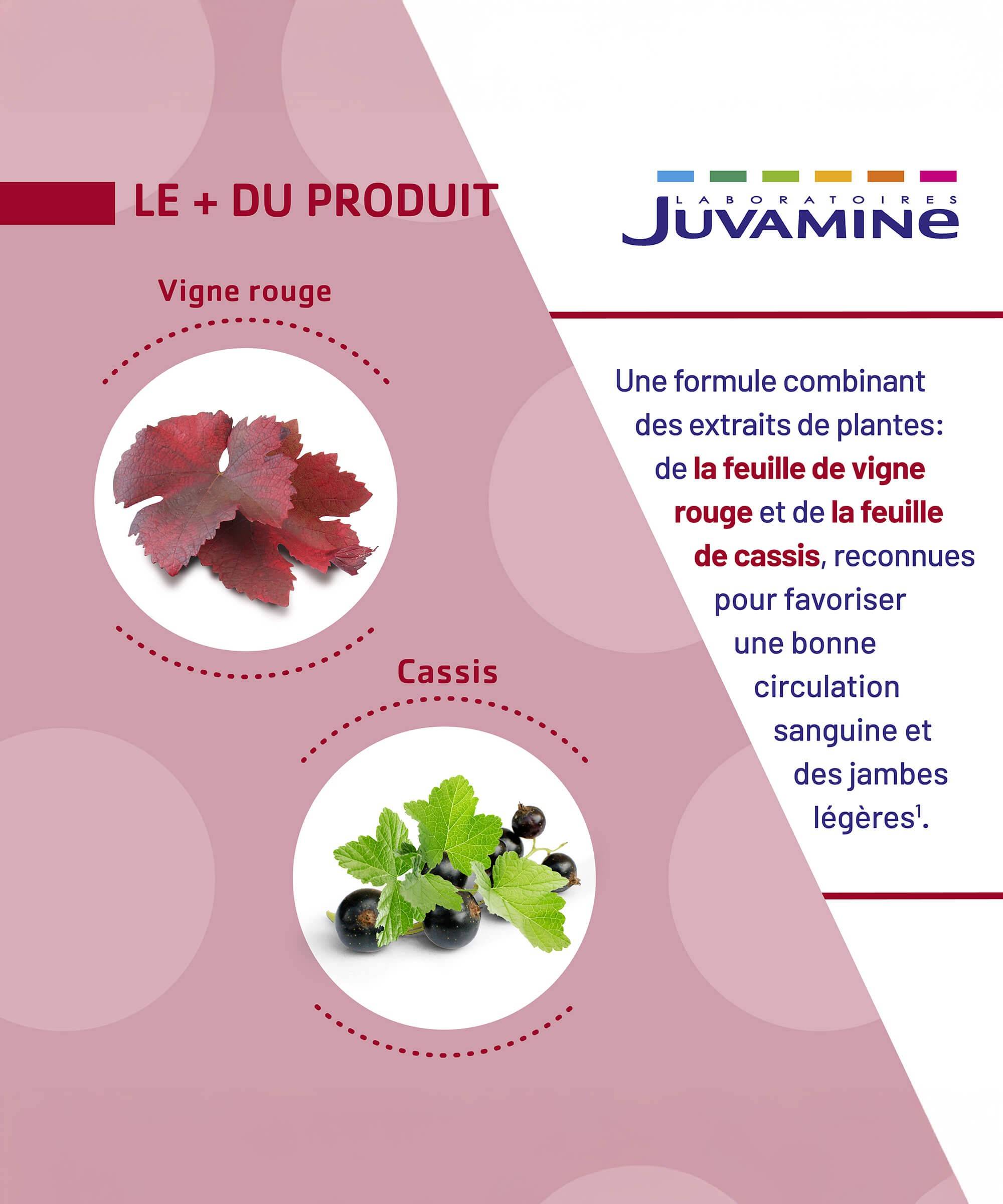 Vigne Rouge Cassis - Jambes Légères - comprimés | Juvamine