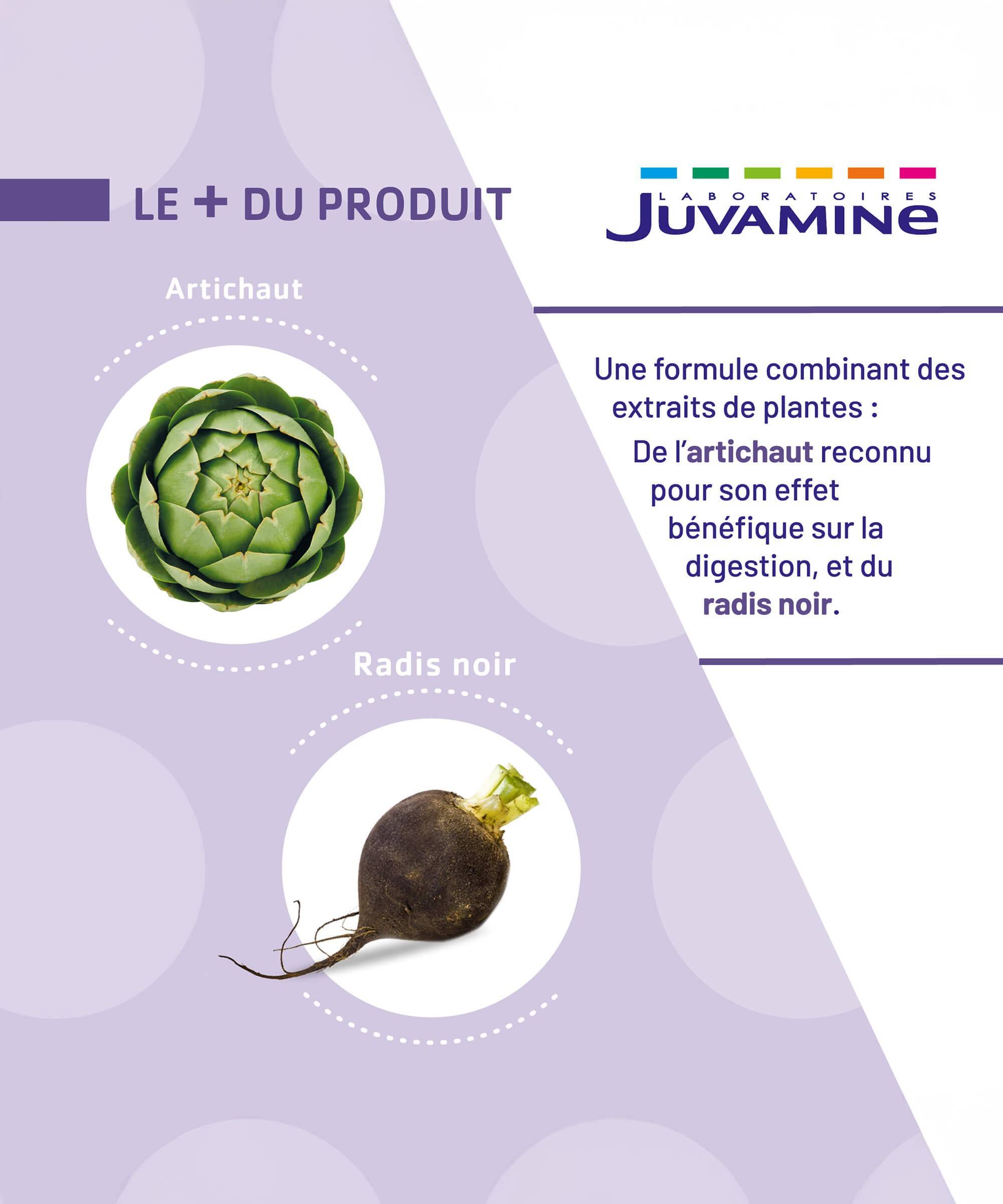Artichaut Radis Noir - Bien-être du Foie - Gélules d'origine végétale | Juvamine