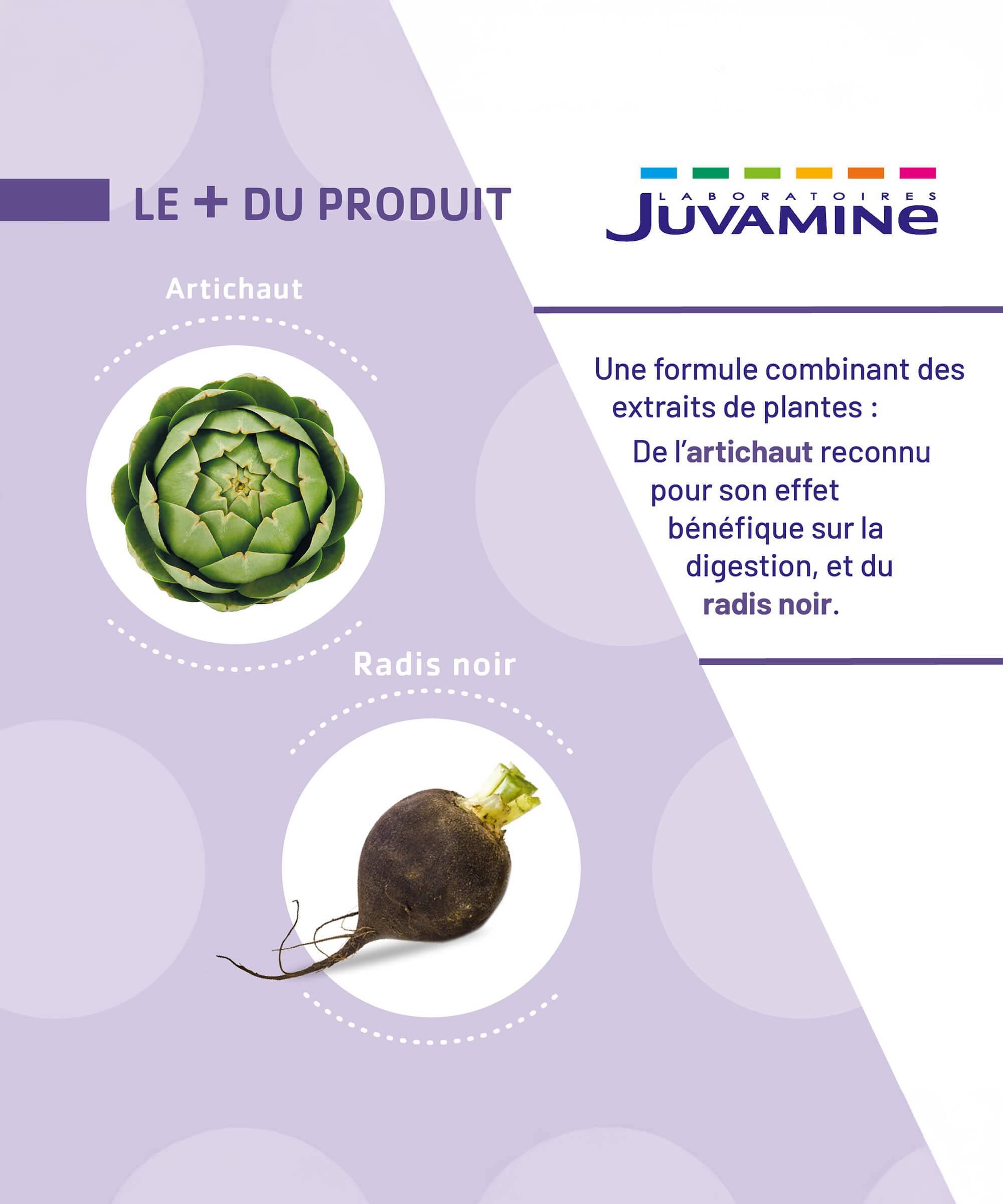 Artichaut Radis Noir - Détox du Foie 10 ampoules x 10 ml | Juvamine