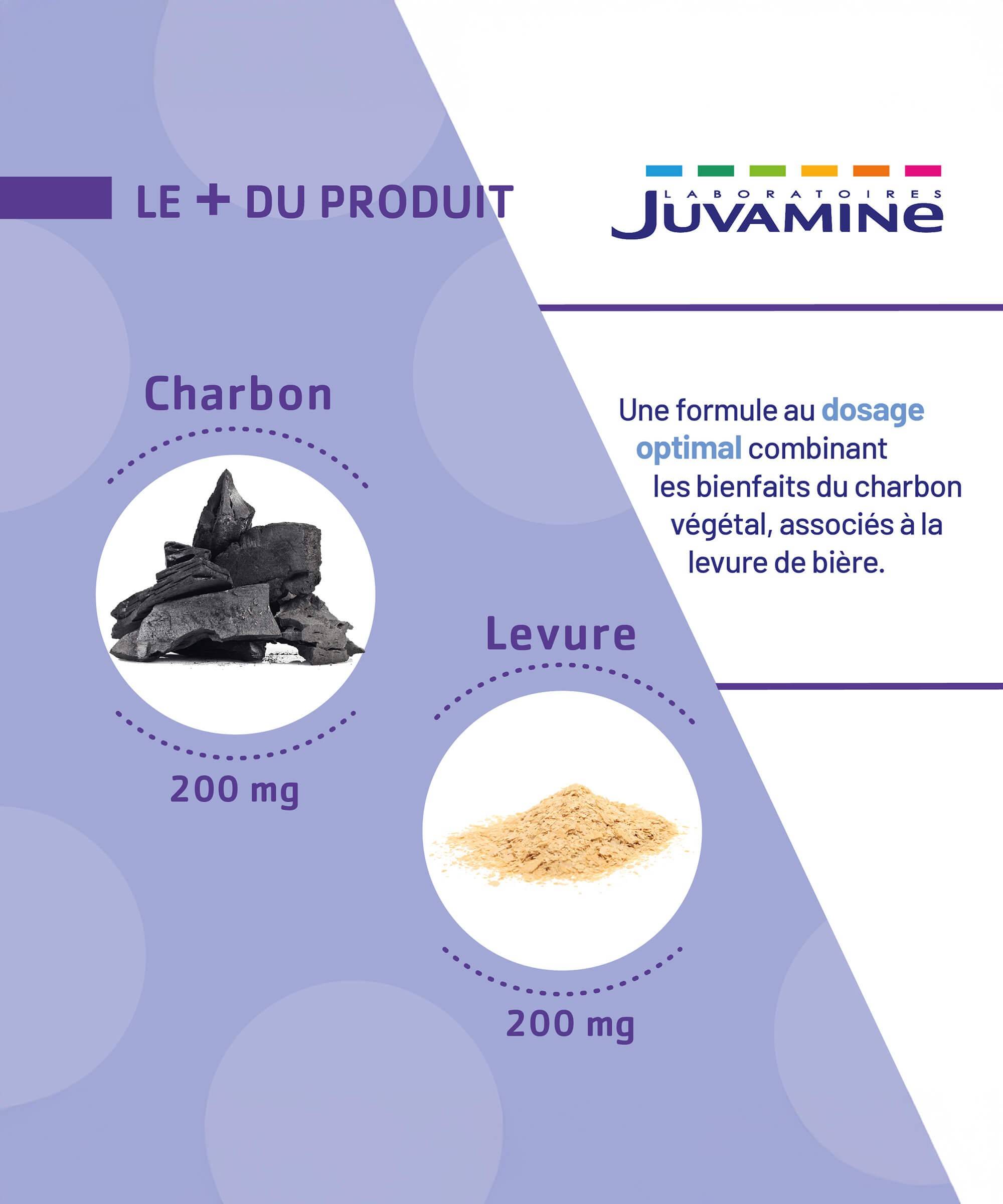 Charbon Levure - Ballonnements - Gélules | Juvamine