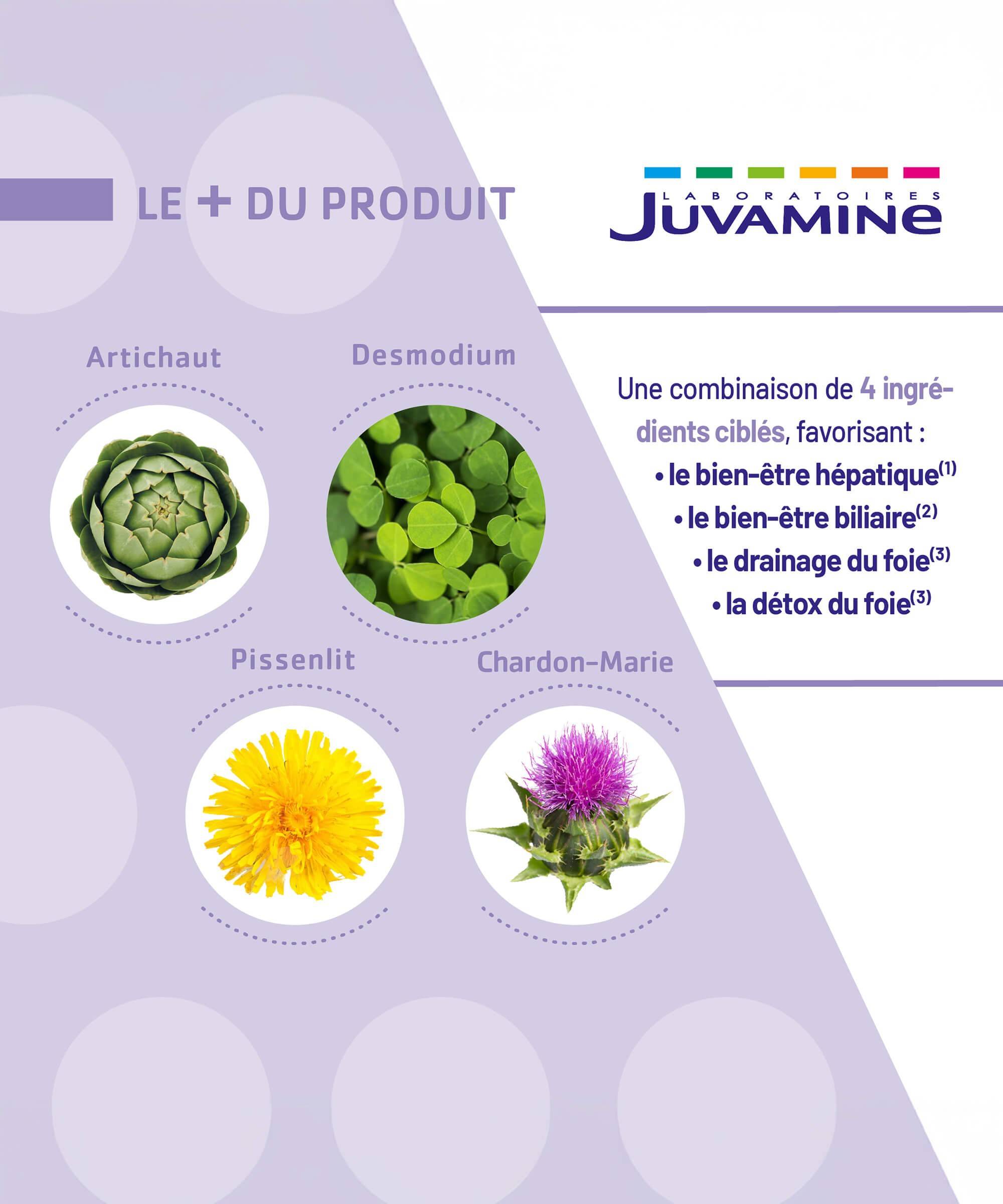 Expert Détox du Foie 3-en-1 - Bien-être Hépatique et Biliaire 60 comprimés | Juvamine