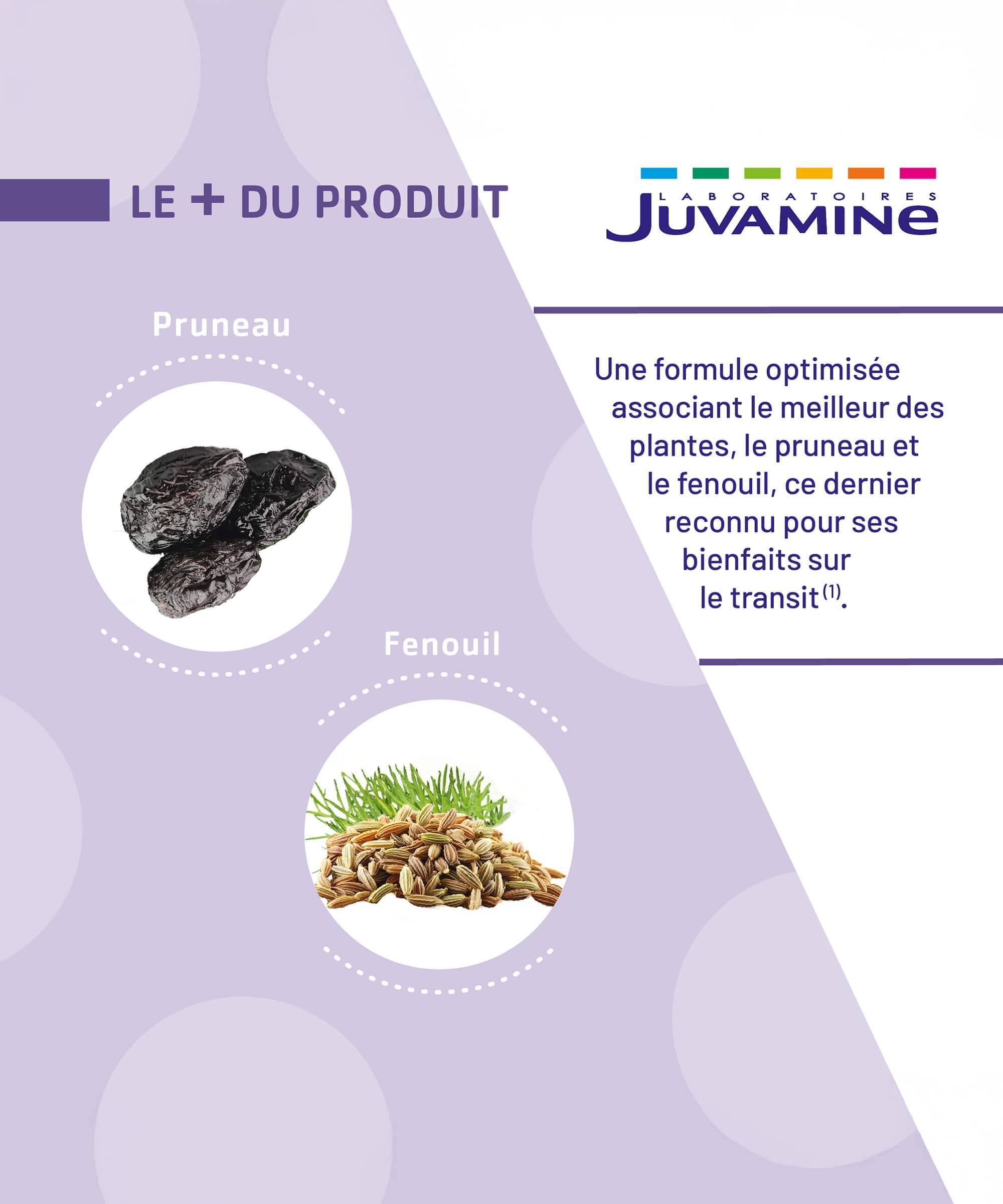 Expert Transit 3-en-1 - Transit Facilité 15 à 45 jours | Juvamine