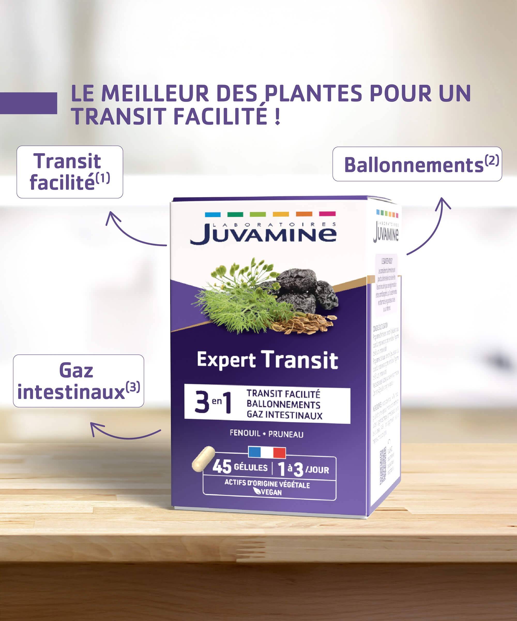 Expert Transit 3-en-1 - Transit Facilité 15 à 45 jours | Juvamine