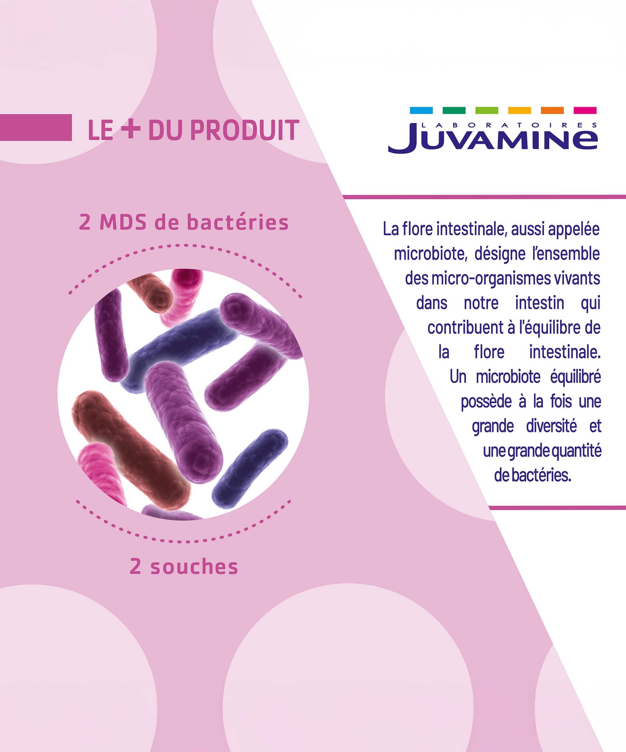 Probiotiques Équilibre - Flore Intestinale 14 sticks | Juvamine