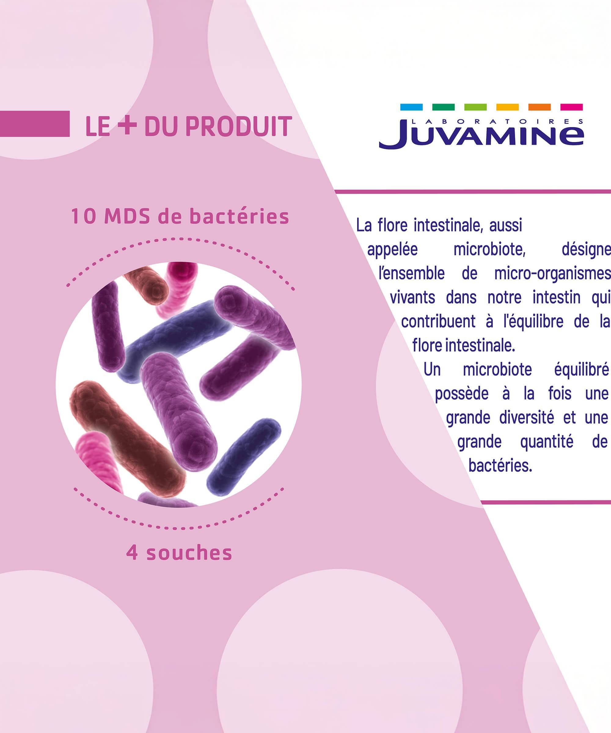Probiotiques Expert - Flore Intestinale 15 gélules Gastro-Résistantes | Juvamine