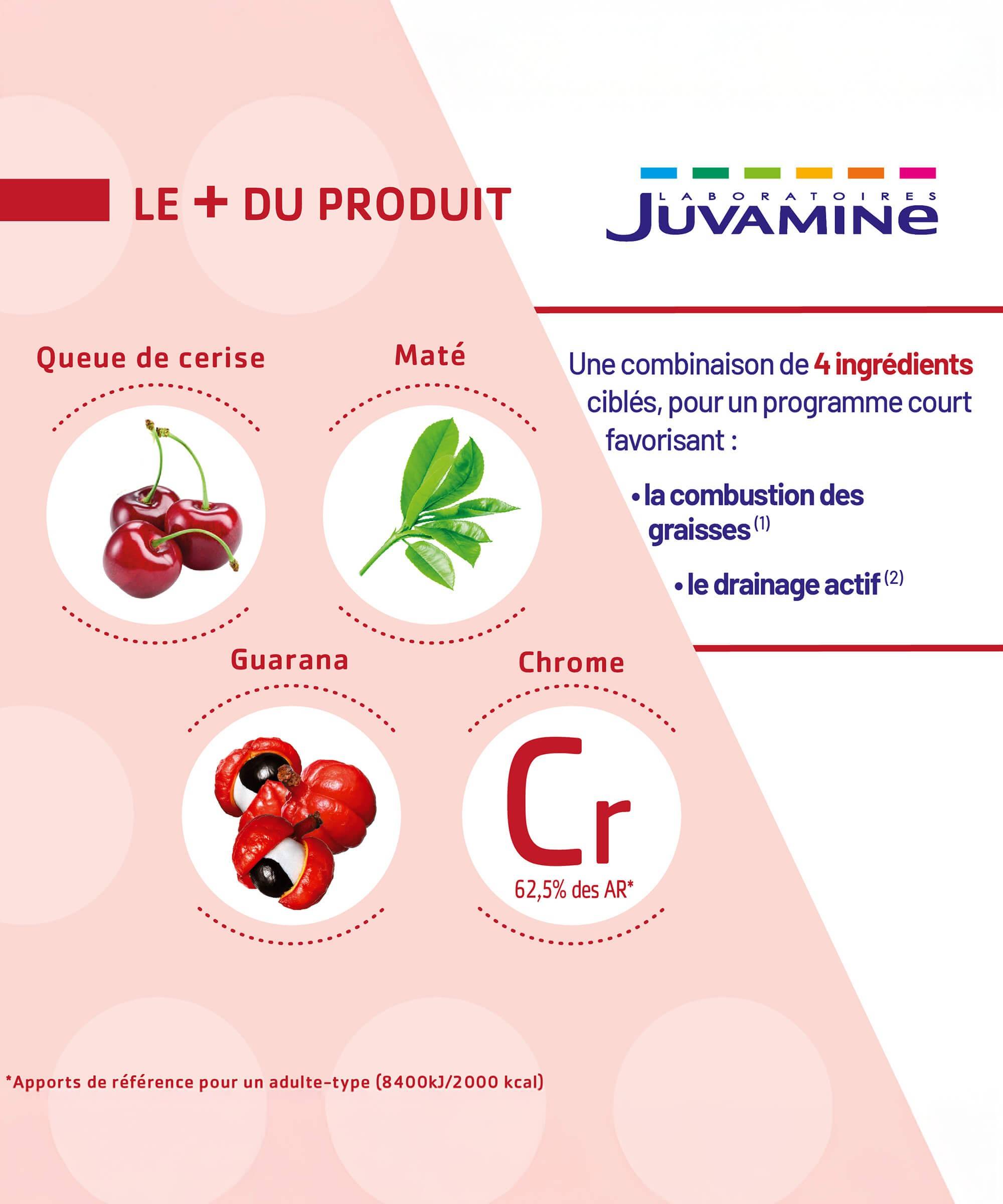 Expert Brûle-Graisse 2-en-1 - 14 Sticks | Juvamine