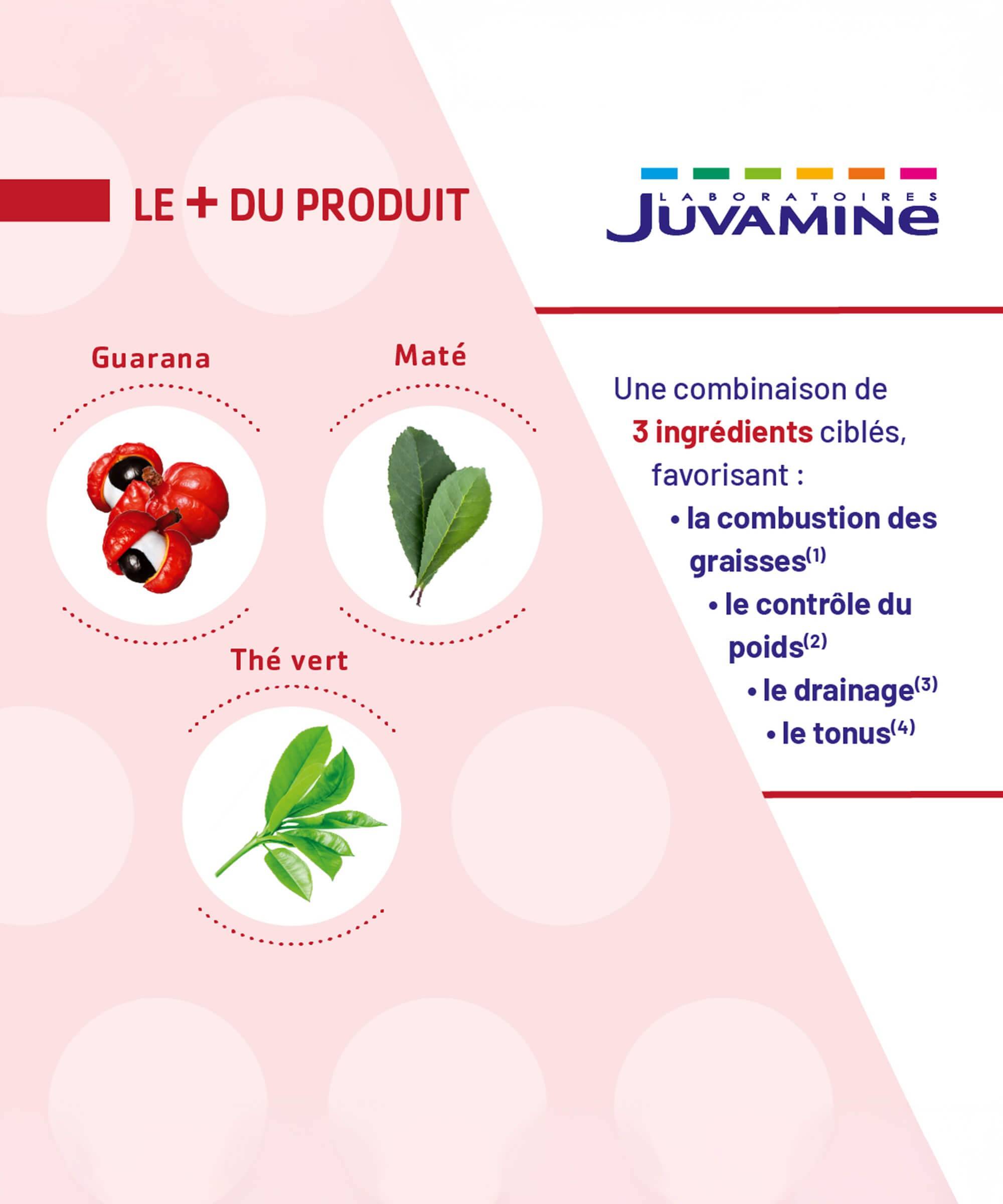 Expert Brûle-Graisse 4-en-1 - 500 ml à Diluer | Juvamine
