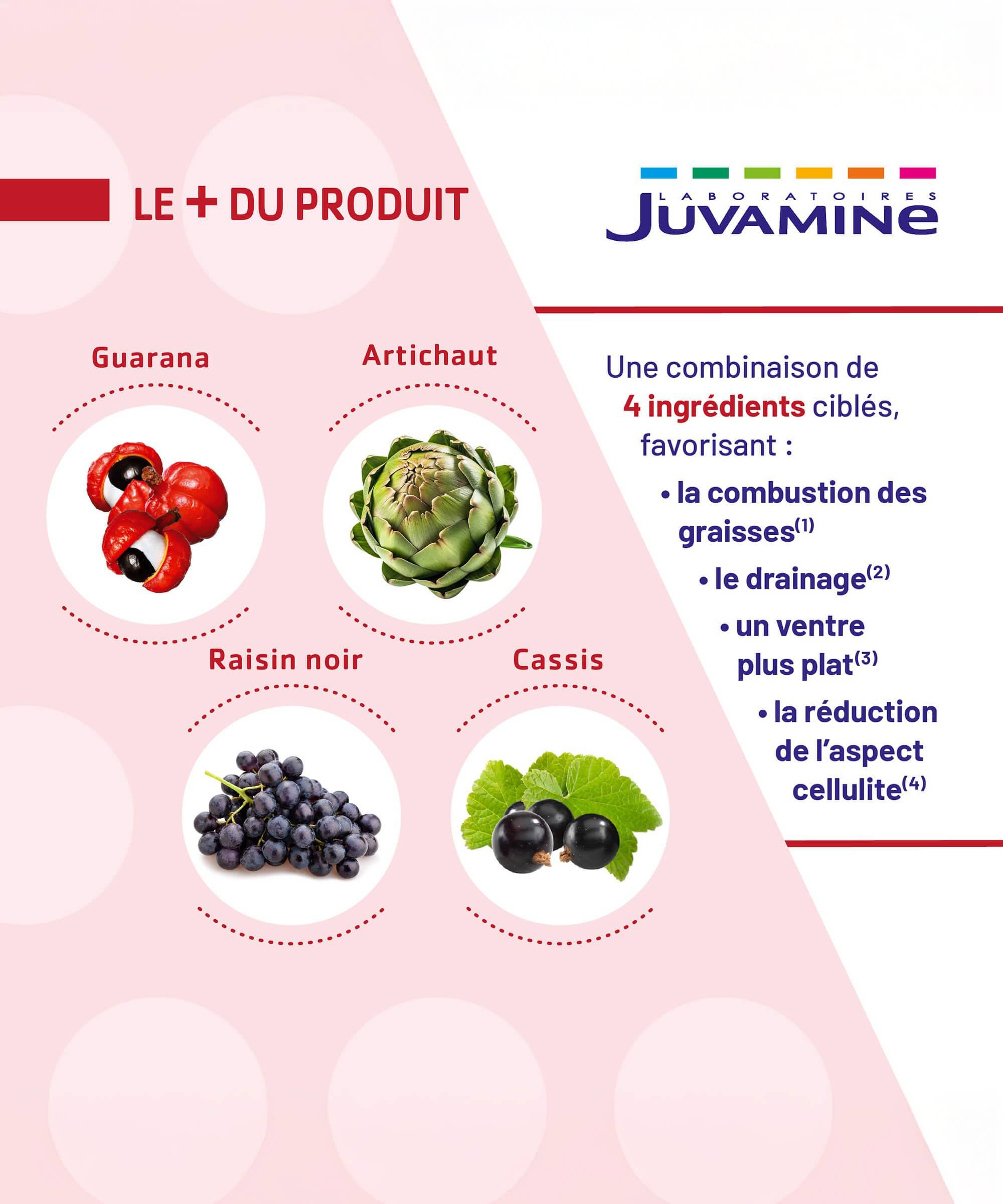 Expert Brûle-Graisse Jour/Nuit - 60 Comprimés | Juvamine