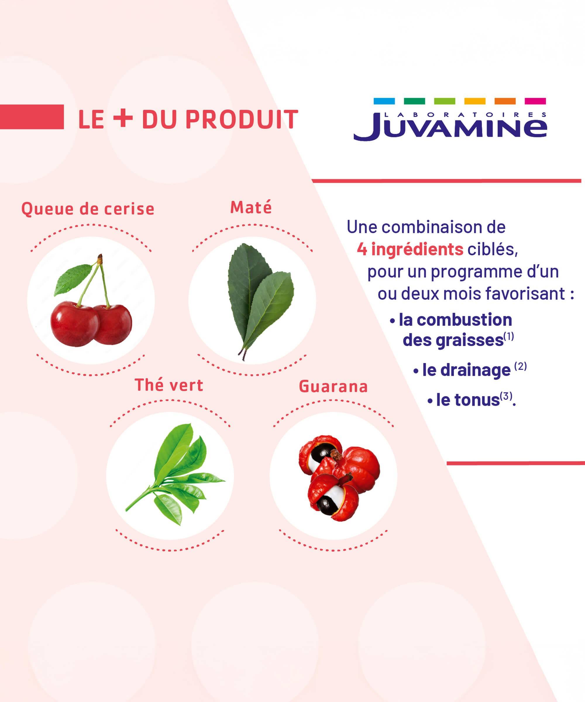 Expert Minceur 3-en-1 - 60 Gélules d'origine Végétale | Juvamine