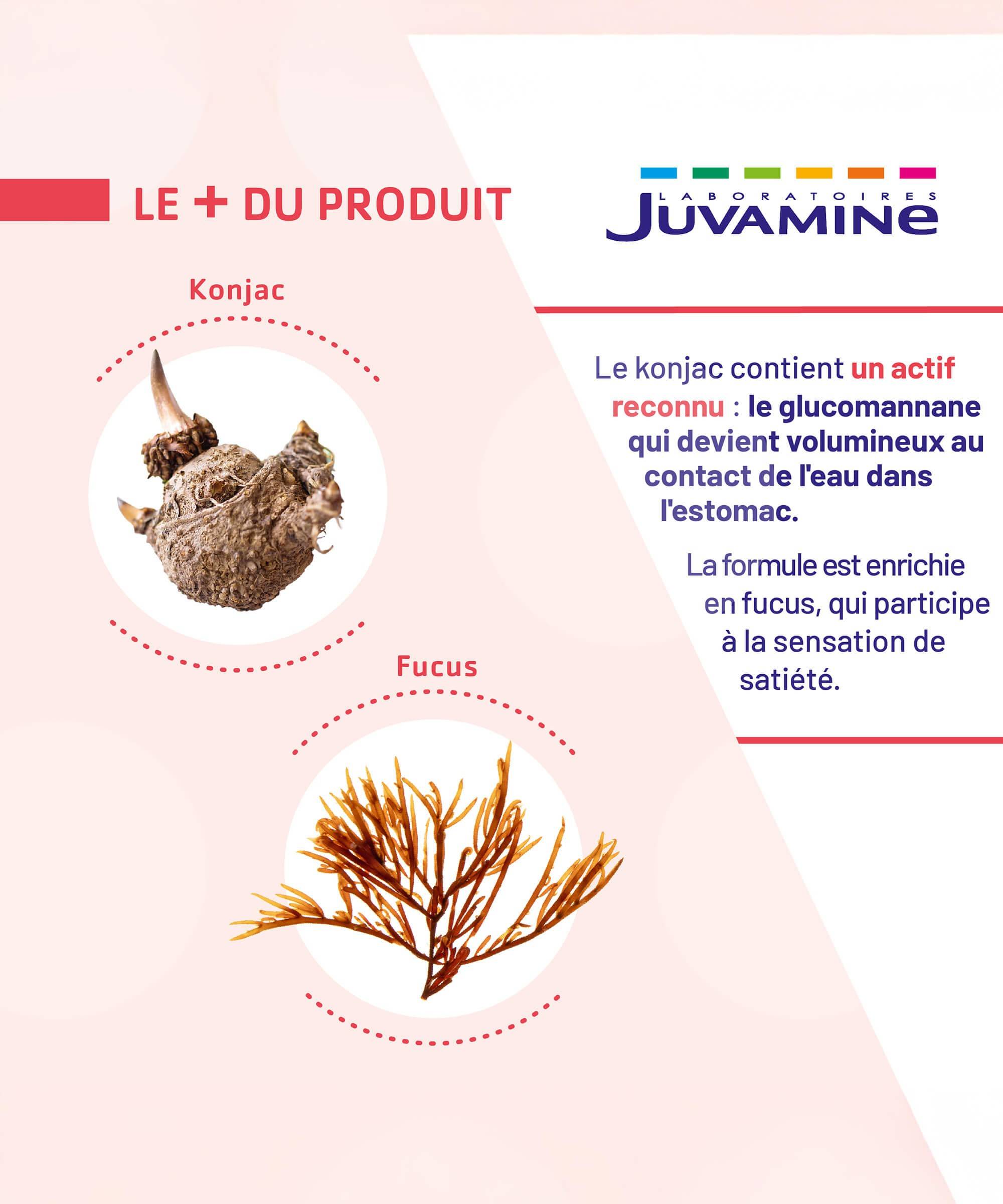 Expert Satiété 2-en-1 - Contrôle du Poids 30 jours | Juvamine