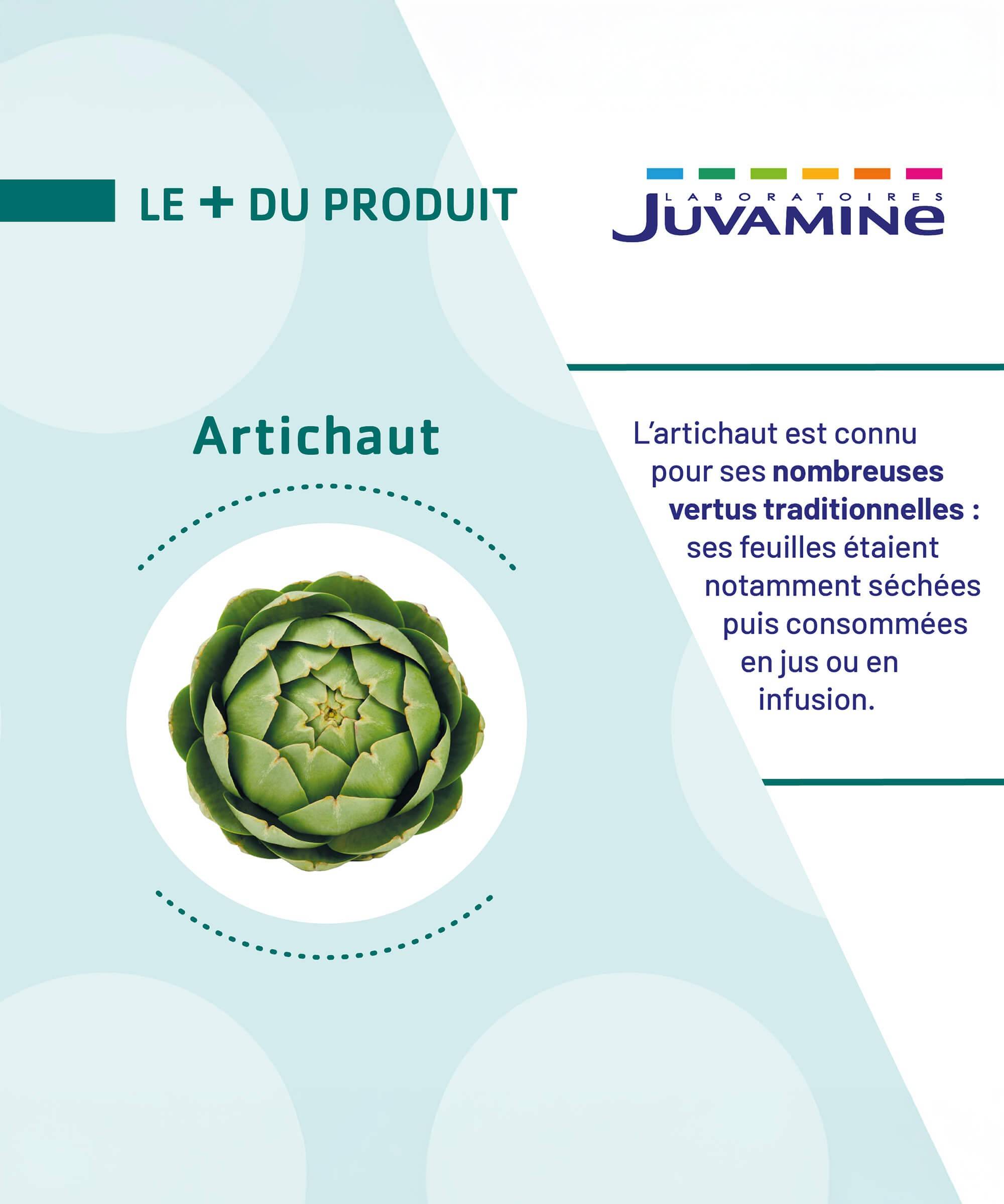 Expert Ventre Plat Artichaut 4-en-1 - Détox 500 ml à diluer | Juvamine