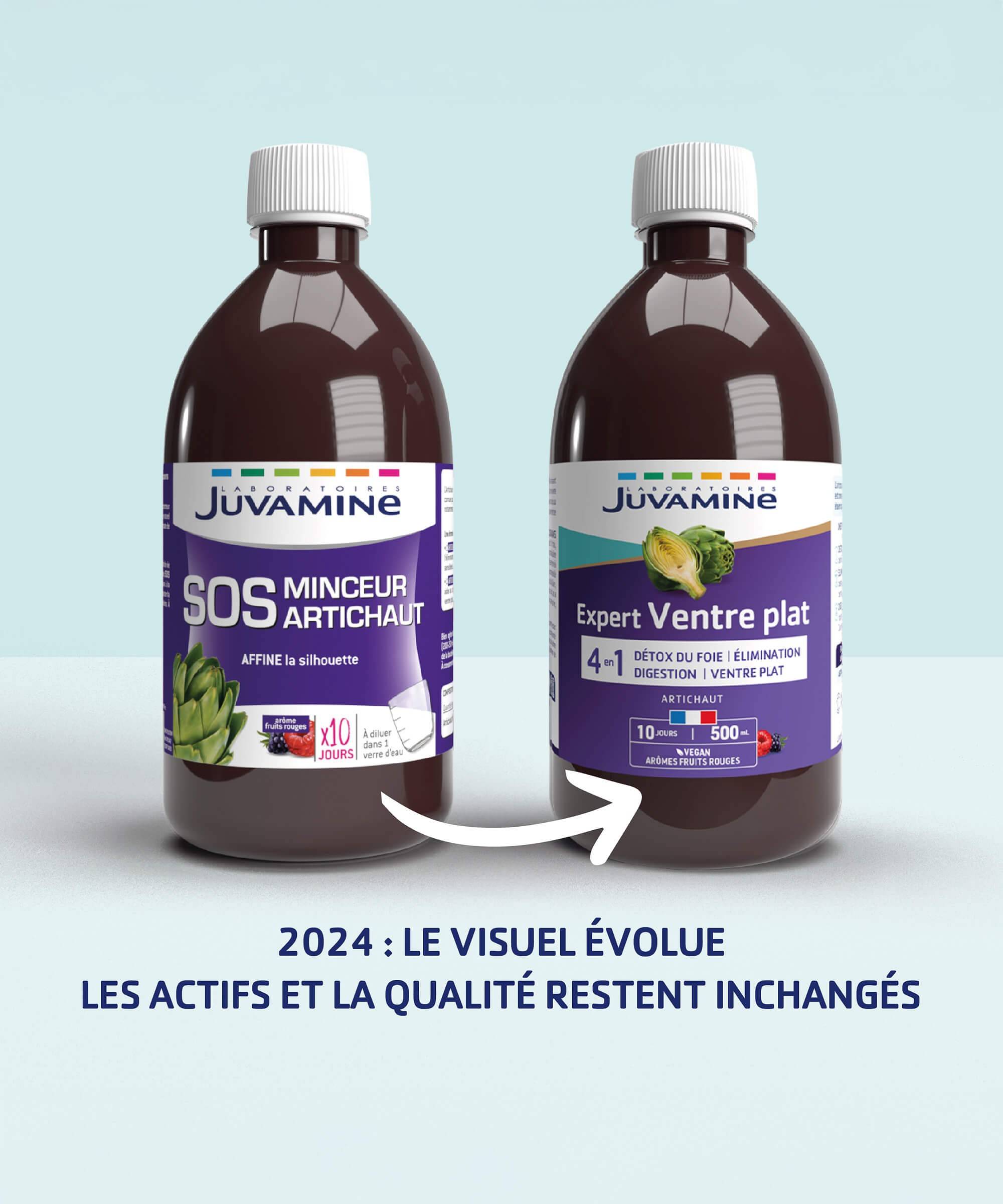 Expert Ventre Plat Artichaut 4-en-1 - Détox 500 ml à diluer | Juvamine
