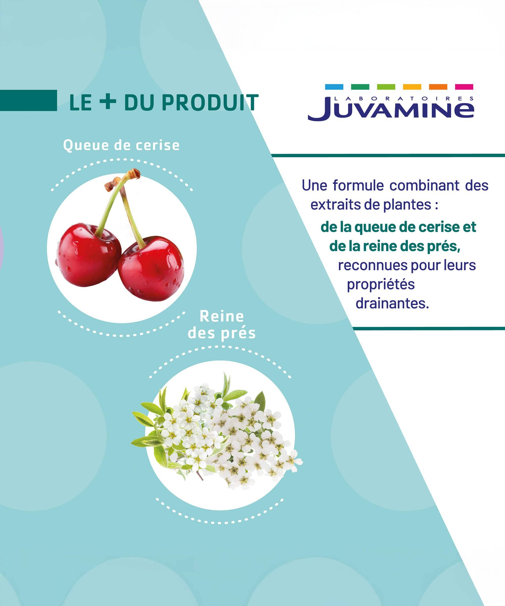 Queue de Cerise Reine des Prés - Draineur Actif 50 gélules | Juvamine