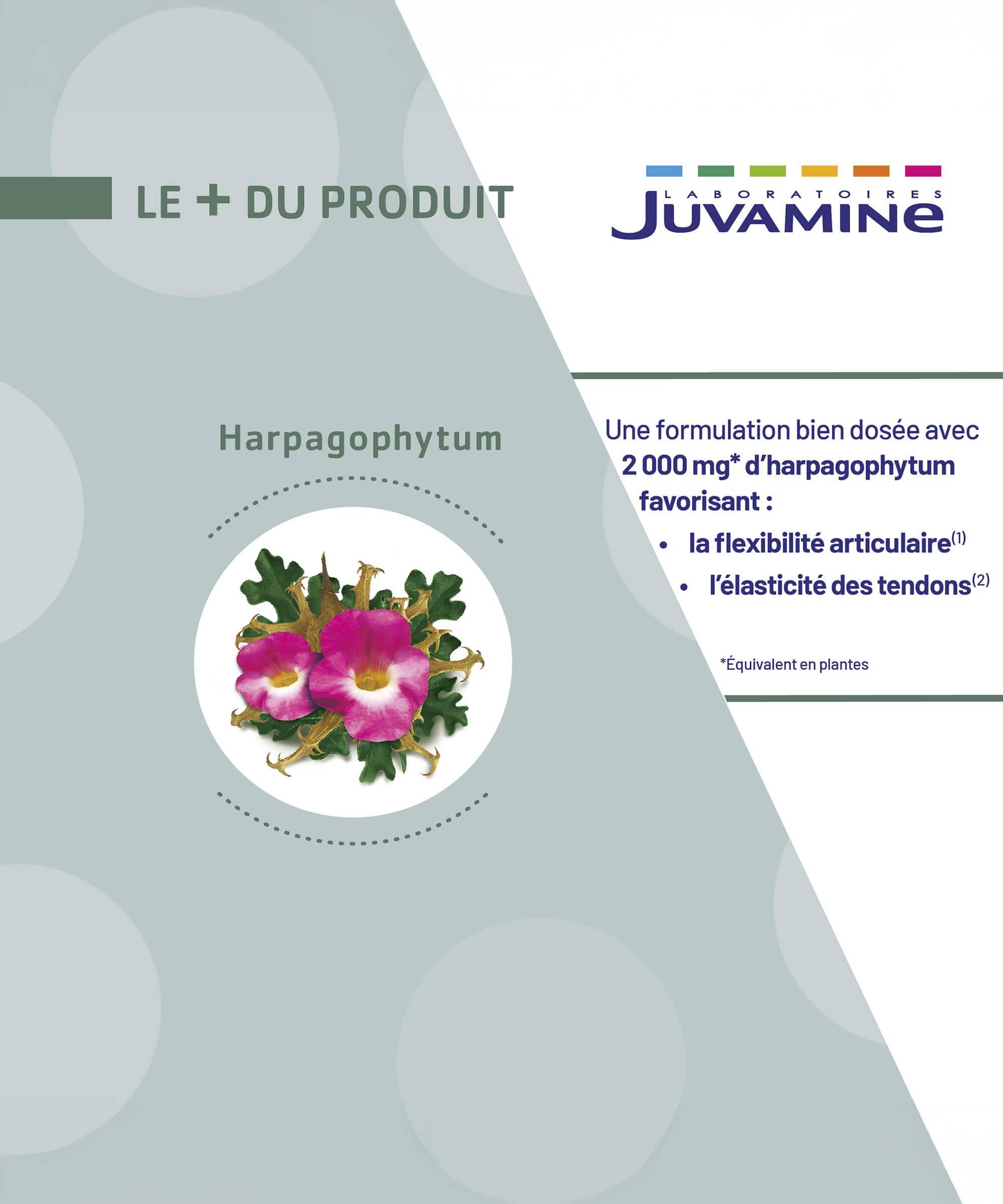 Harpagophytum 2000 mg - Articulations 30 comprimés | Juvamine