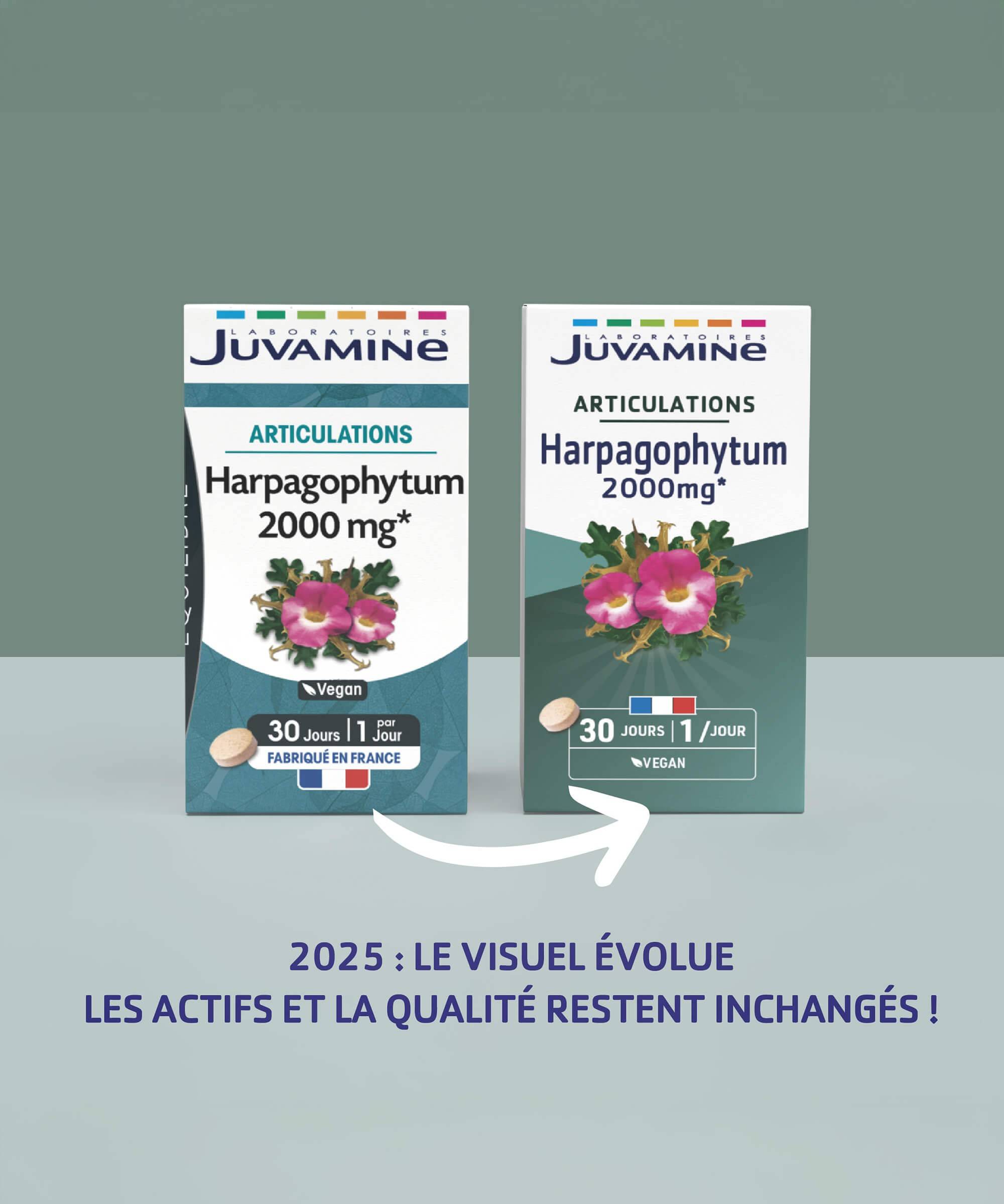 Harpagophytum 2000 mg - Articulations 30 comprimés | Juvamine