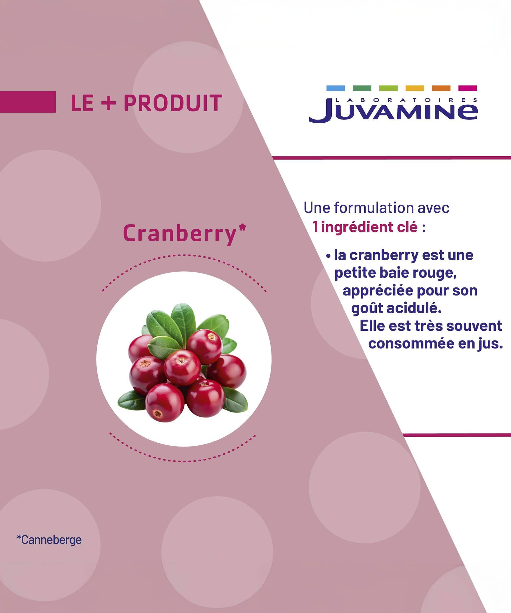 Cranberry - Equilibre 60 gélules | Juvamine