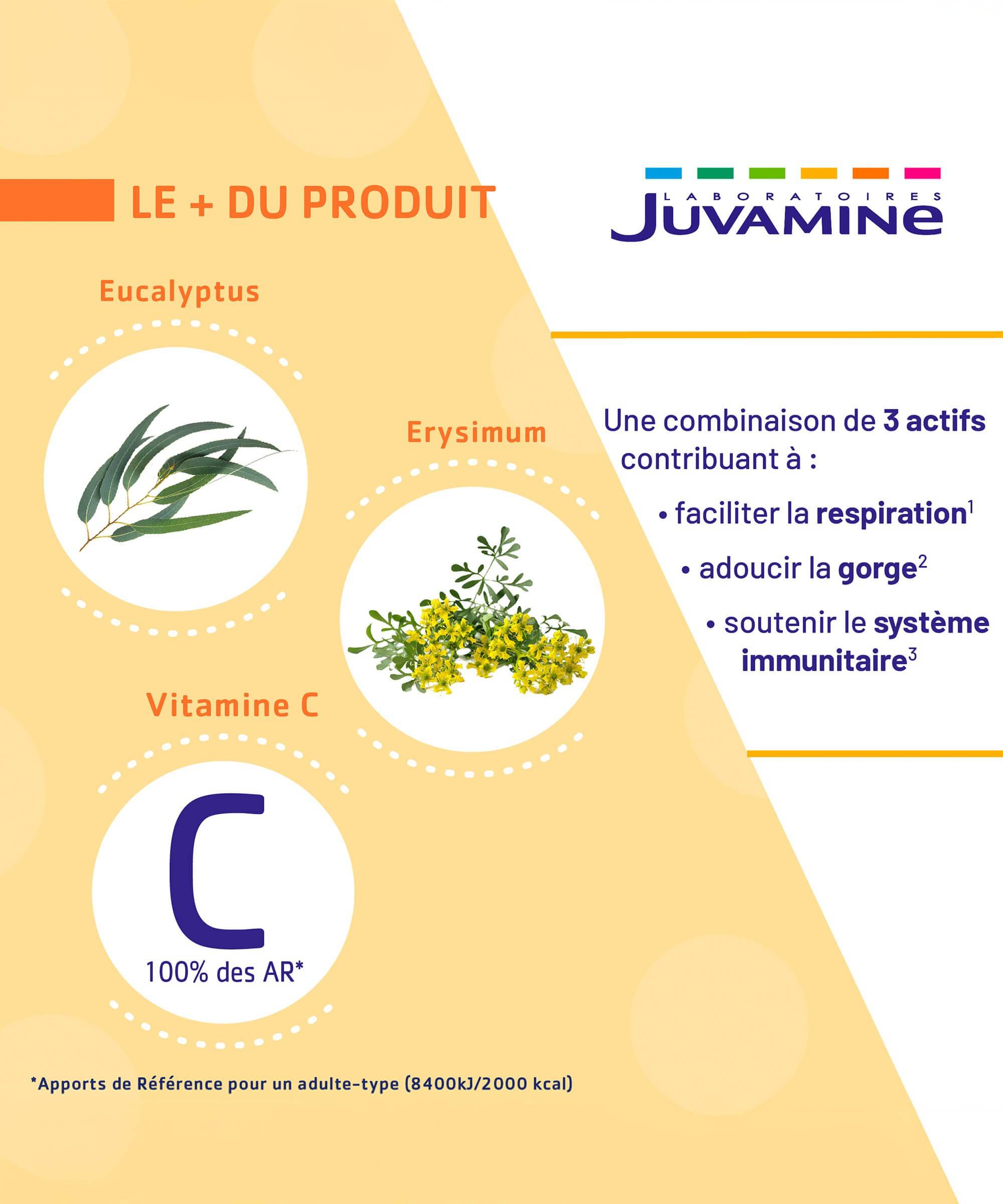 Expert Voies Respiratoires - 30 jours de soutien | Juvamine