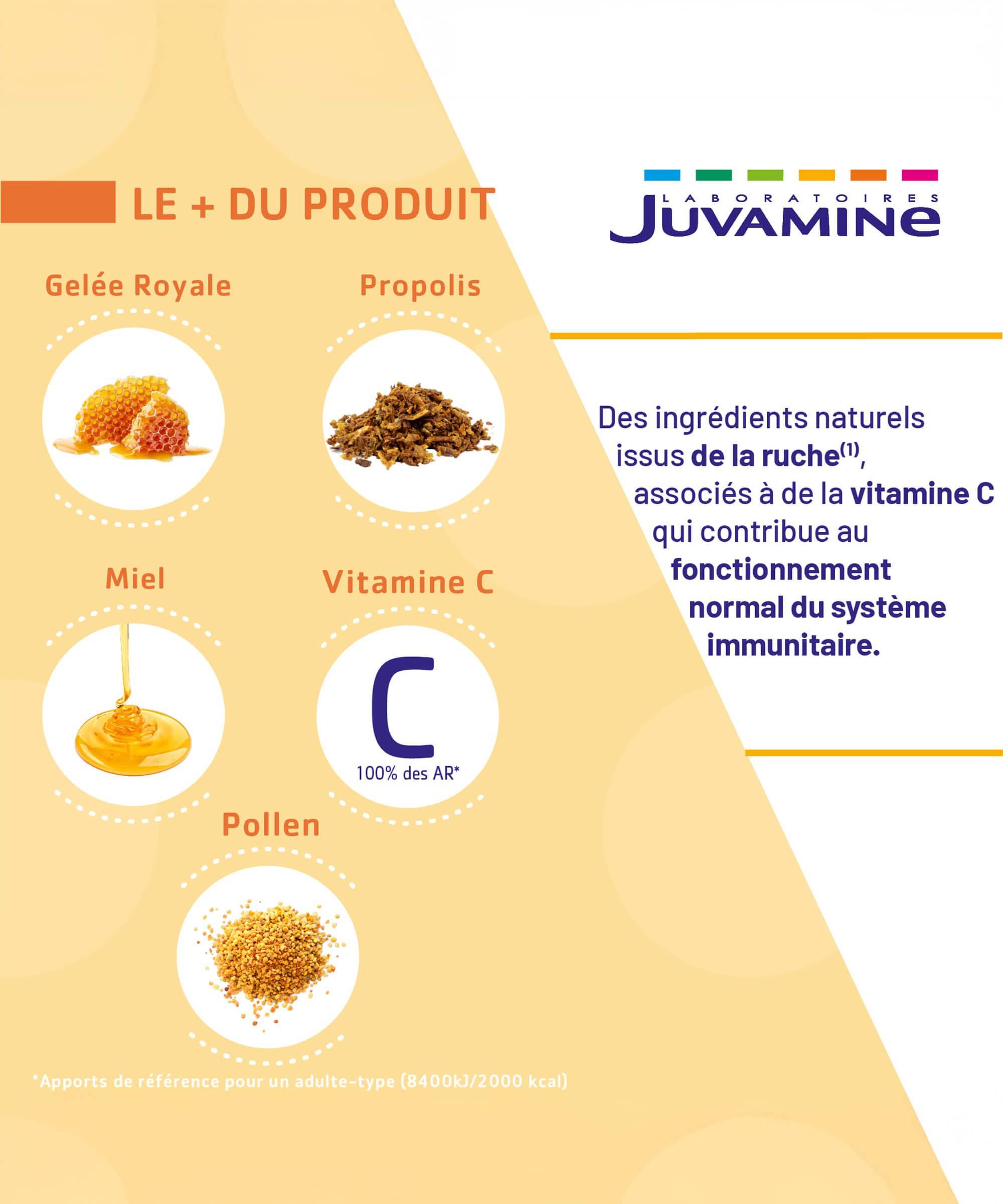 Gelée Royale, Pollen, Propolis, Miel, Vitamine C - Immunité 10 ampoules x 10 mL | Juvamine