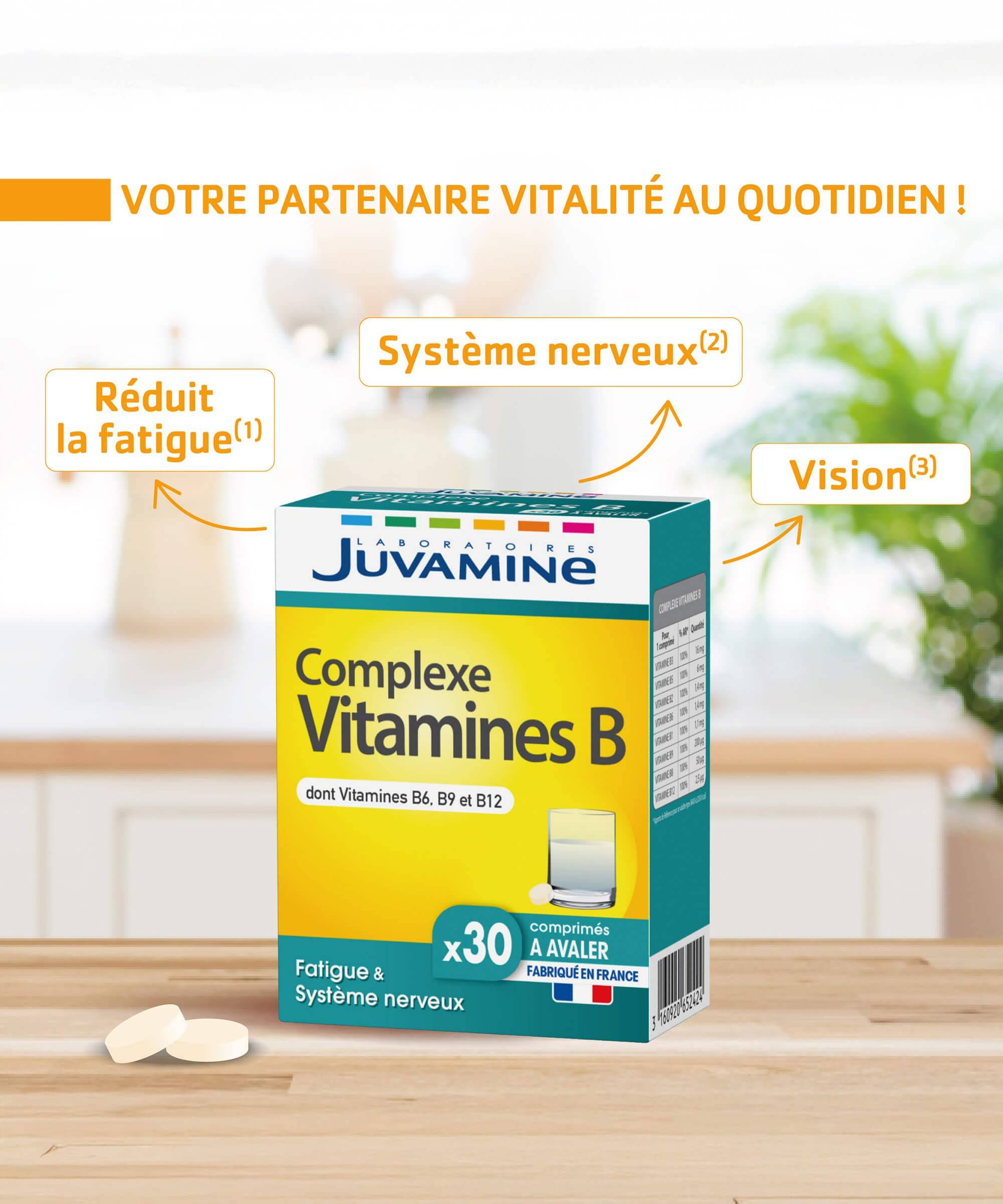 Complexe Vitamine B - Système nerveux 30 gélules | Juvamine