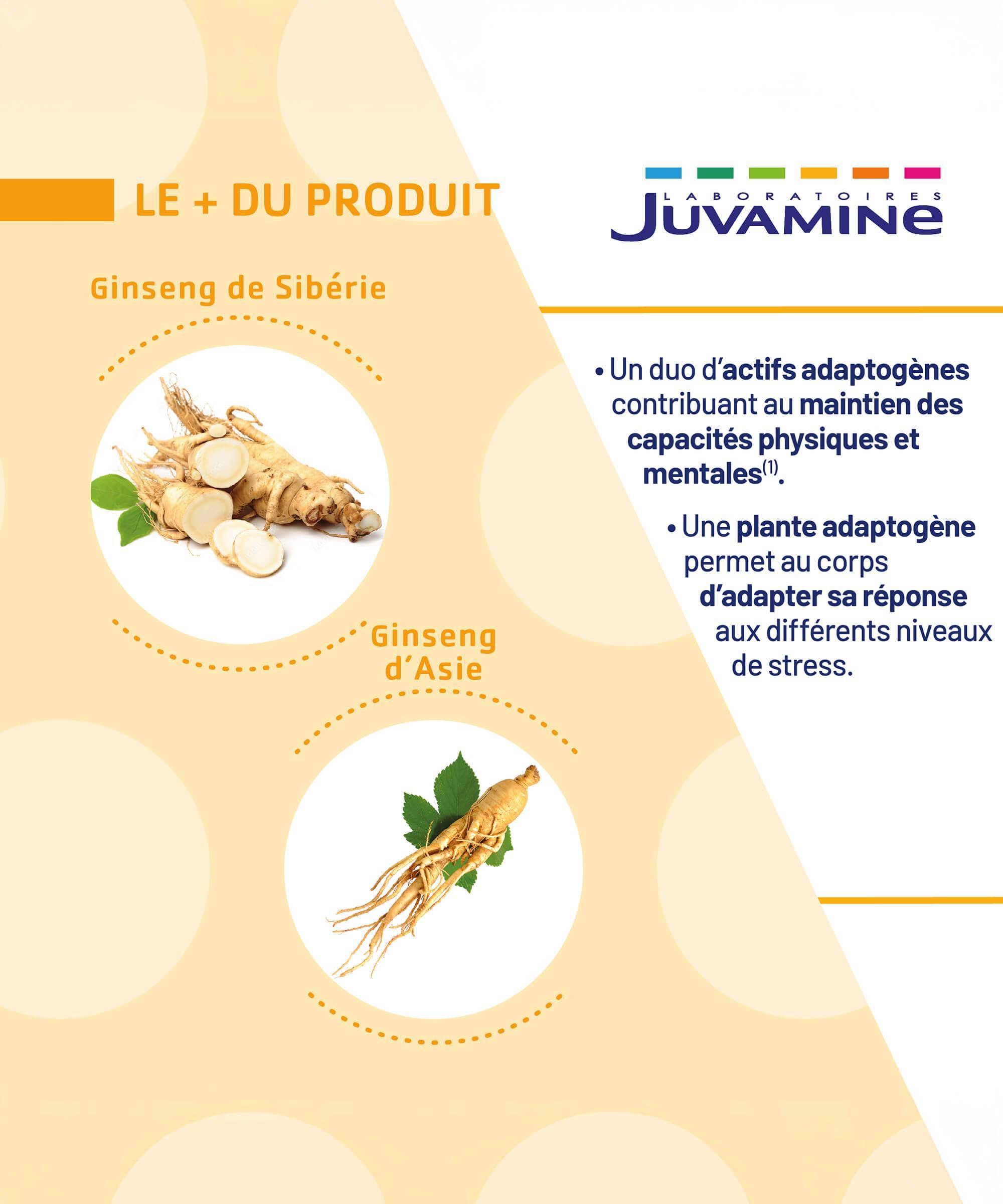Ginseng de Sibérie & Asie - Tonifiant 30 comprimés | Juvamine