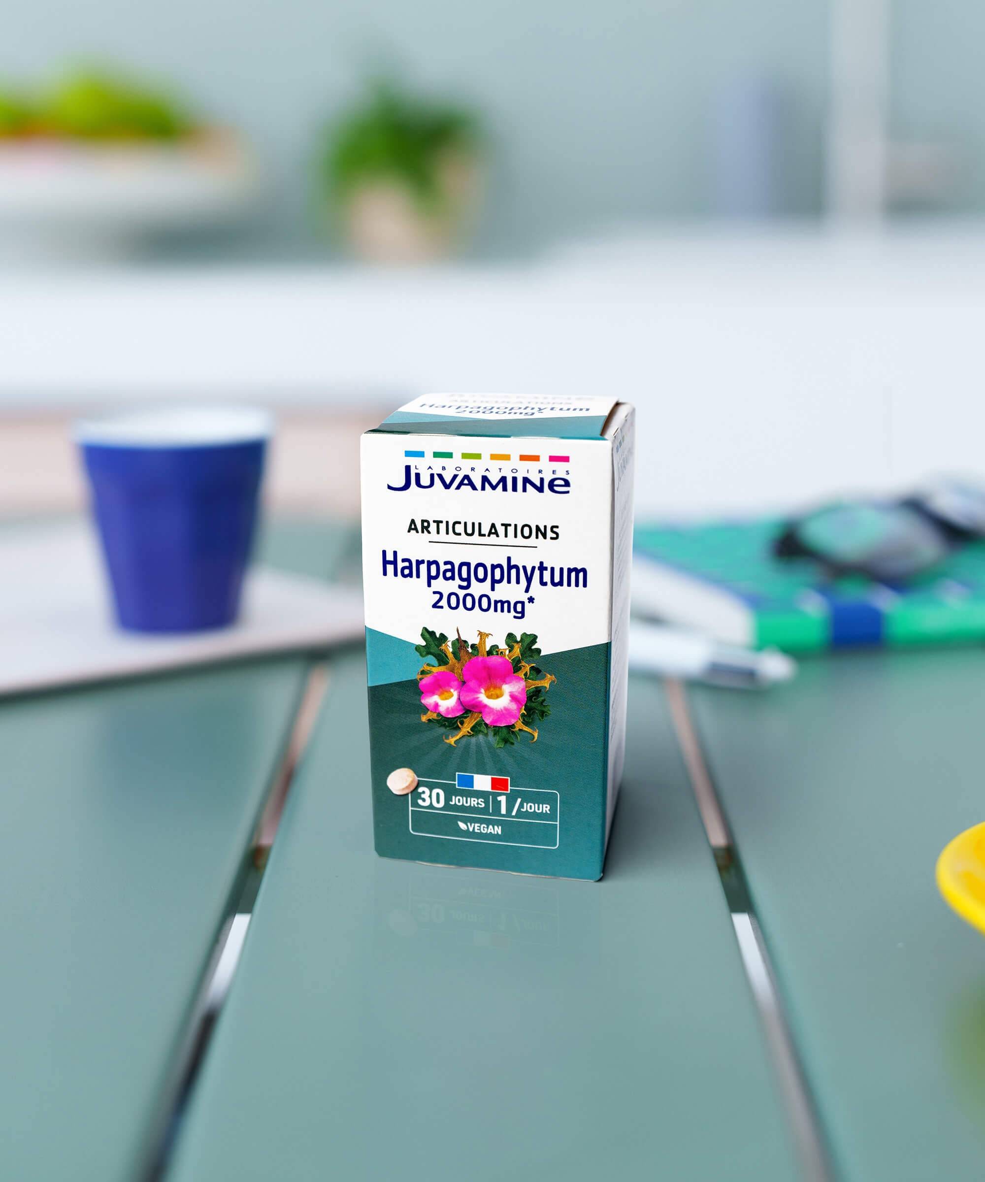 Harpagophytum 2000 mg - Articulations 30 comprimés | Juvamine