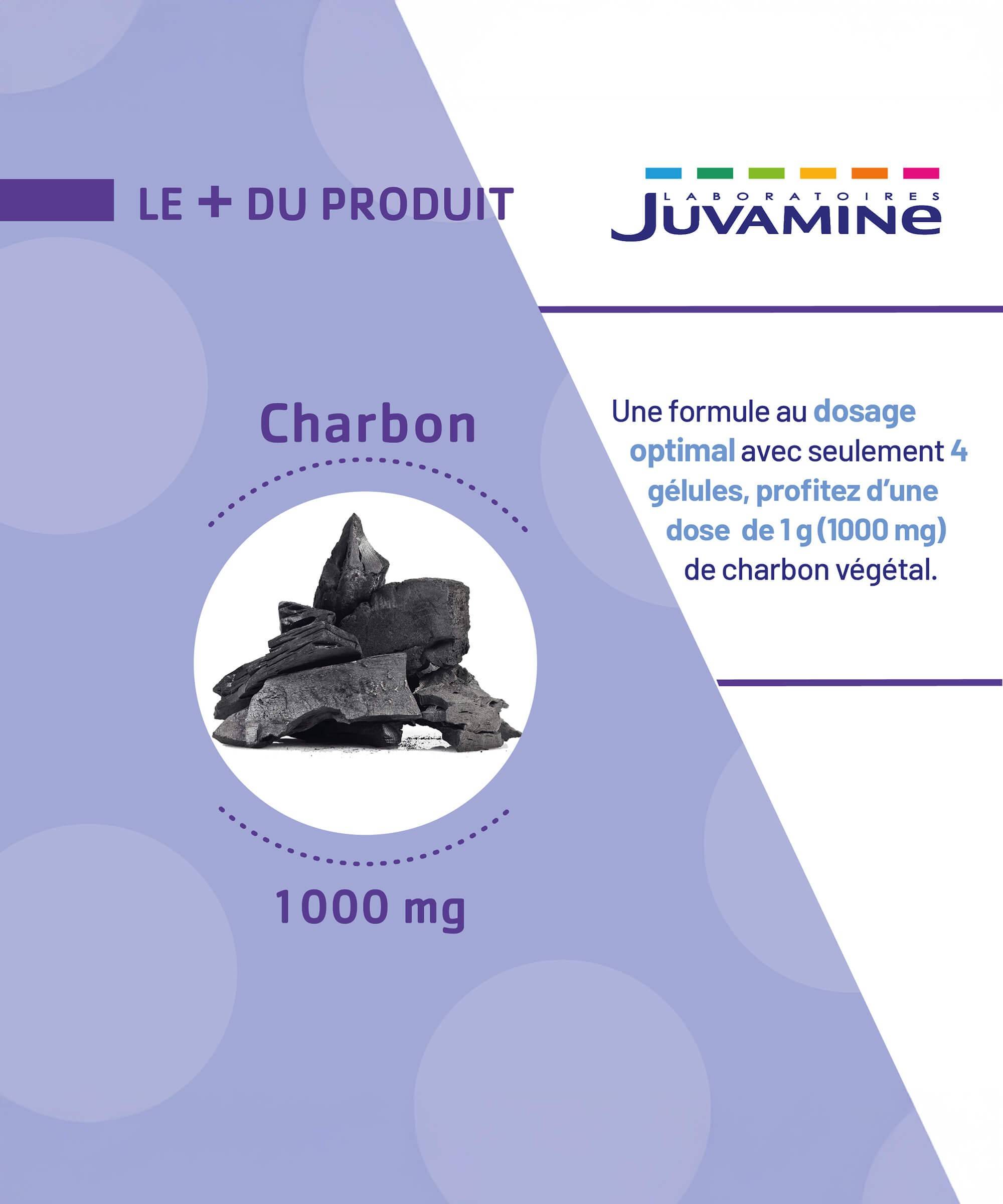 Charbon 1000 mg - Gaz Intestinaux - Gélules | Juvamine
