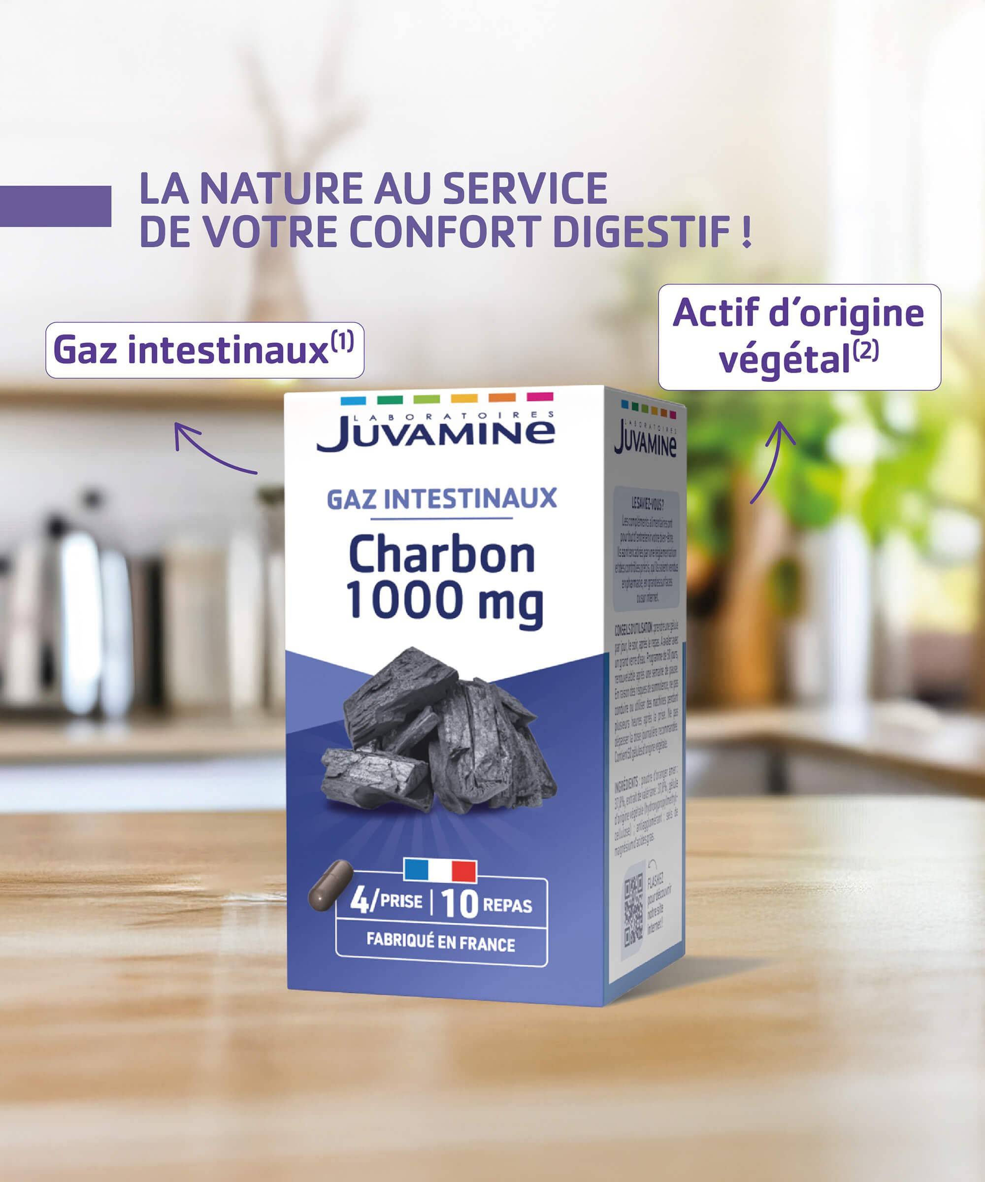 Charbon 1000 mg - Gaz Intestinaux - Gélules | Juvamine