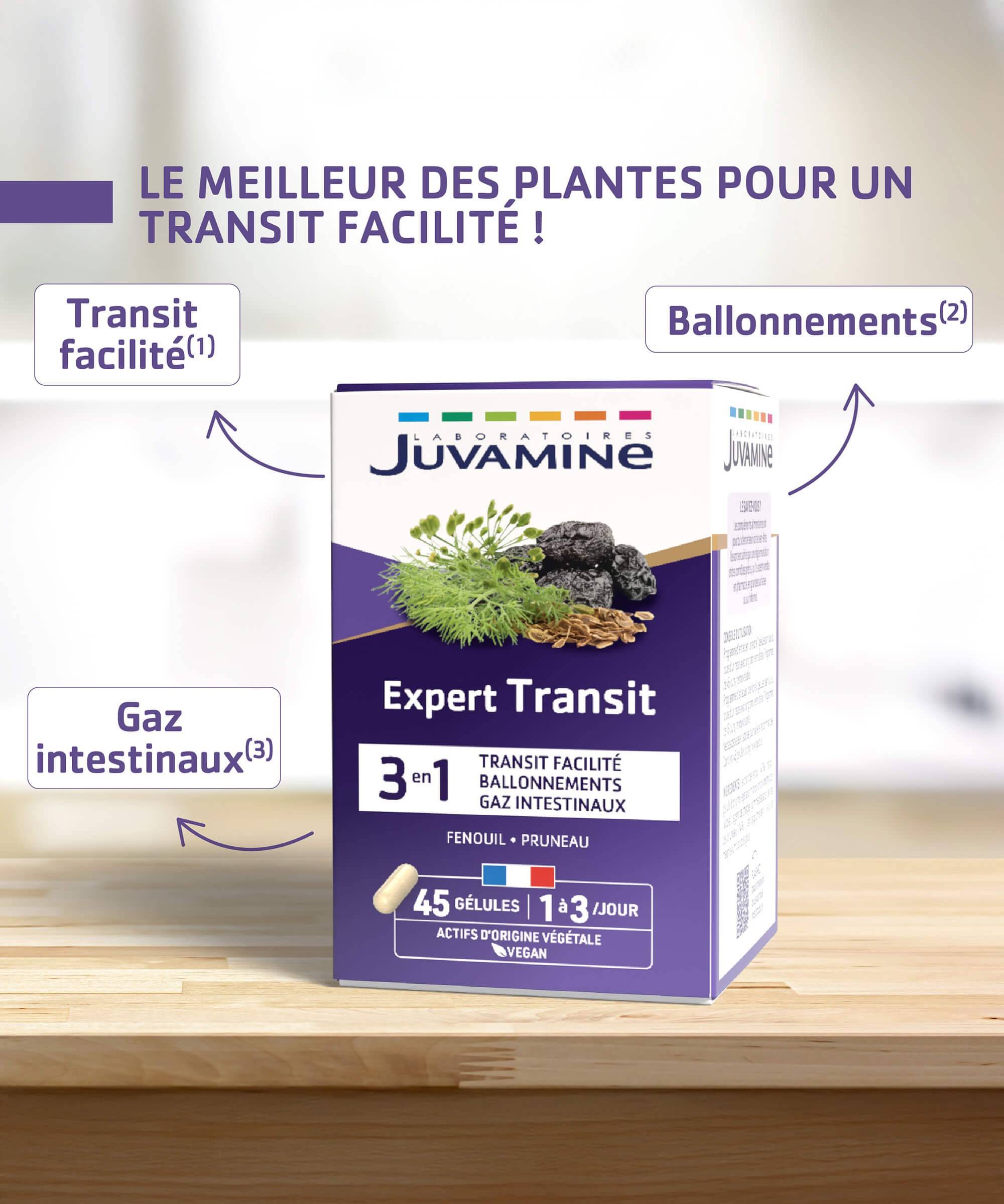 Expert Transit 3-en-1 - Transit Facilité 15 à 45 jours | Juvamine