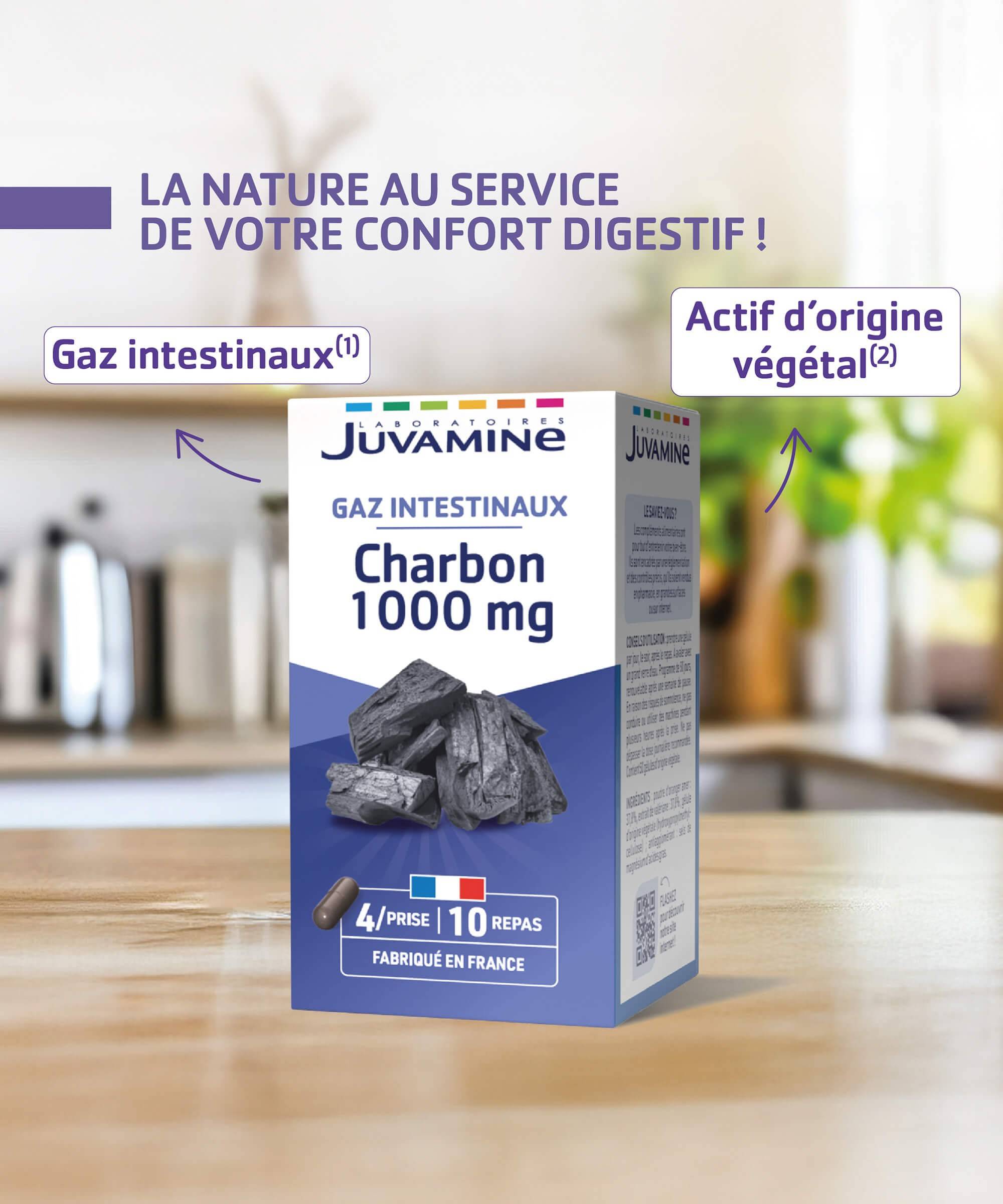 Charbon 1000 mg - Gaz Intestinaux - Gélules | Juvamine