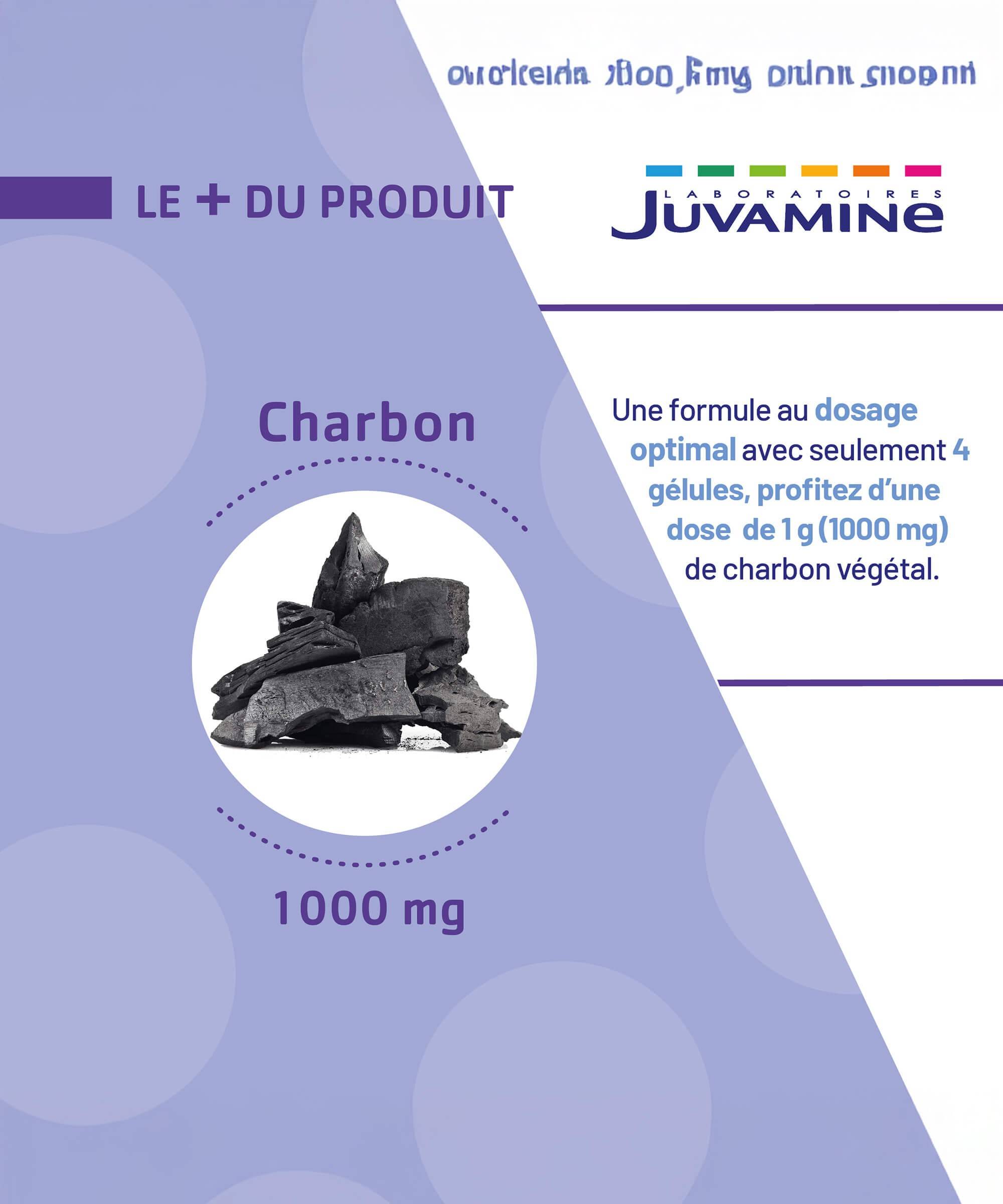 Charbon 1000 mg - Gaz Intestinaux - Gélules | Juvamine