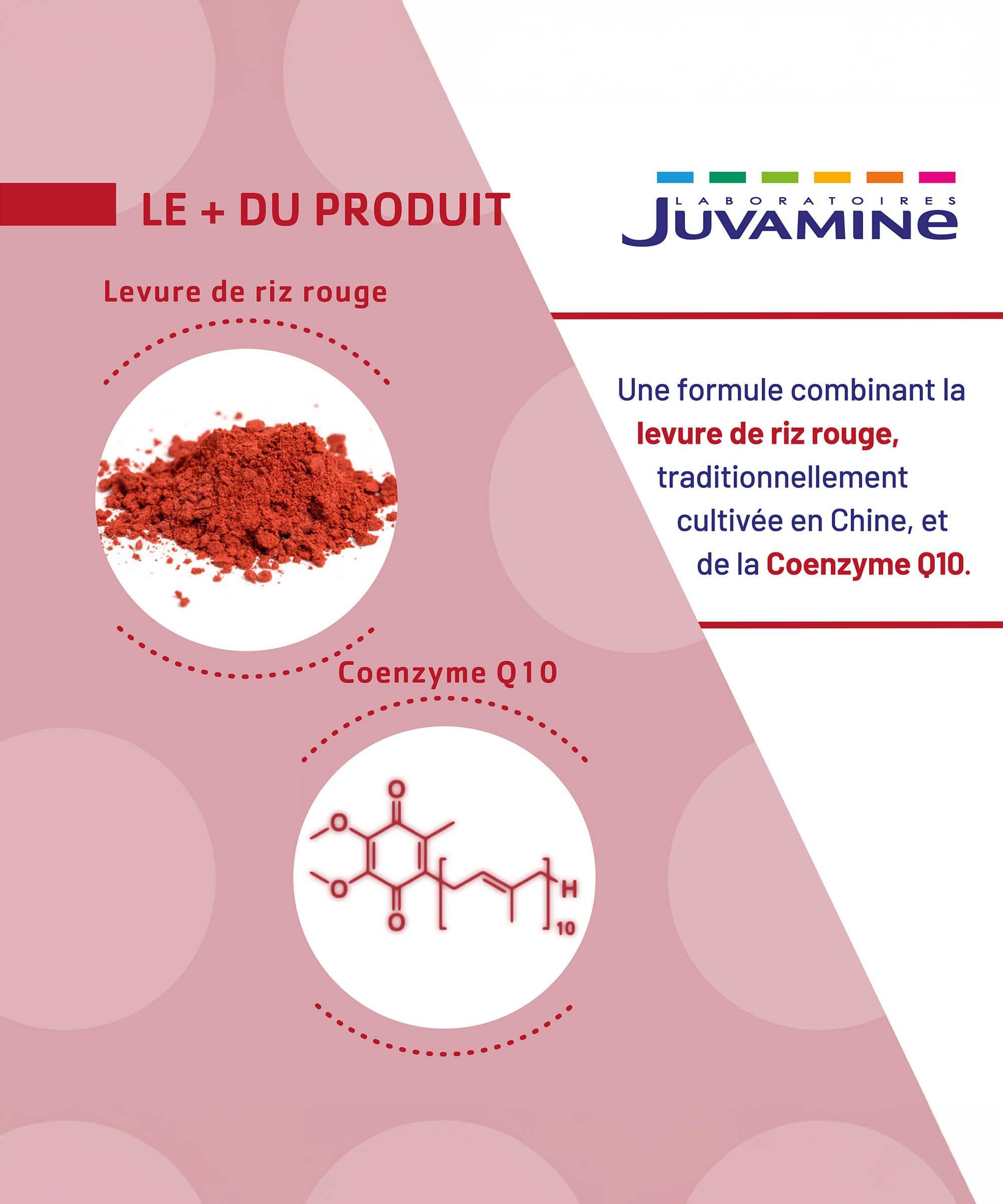 Levure de Riz Rouge Coenzyme Q10 - Équilibre 30 comprimés | Juvamine
