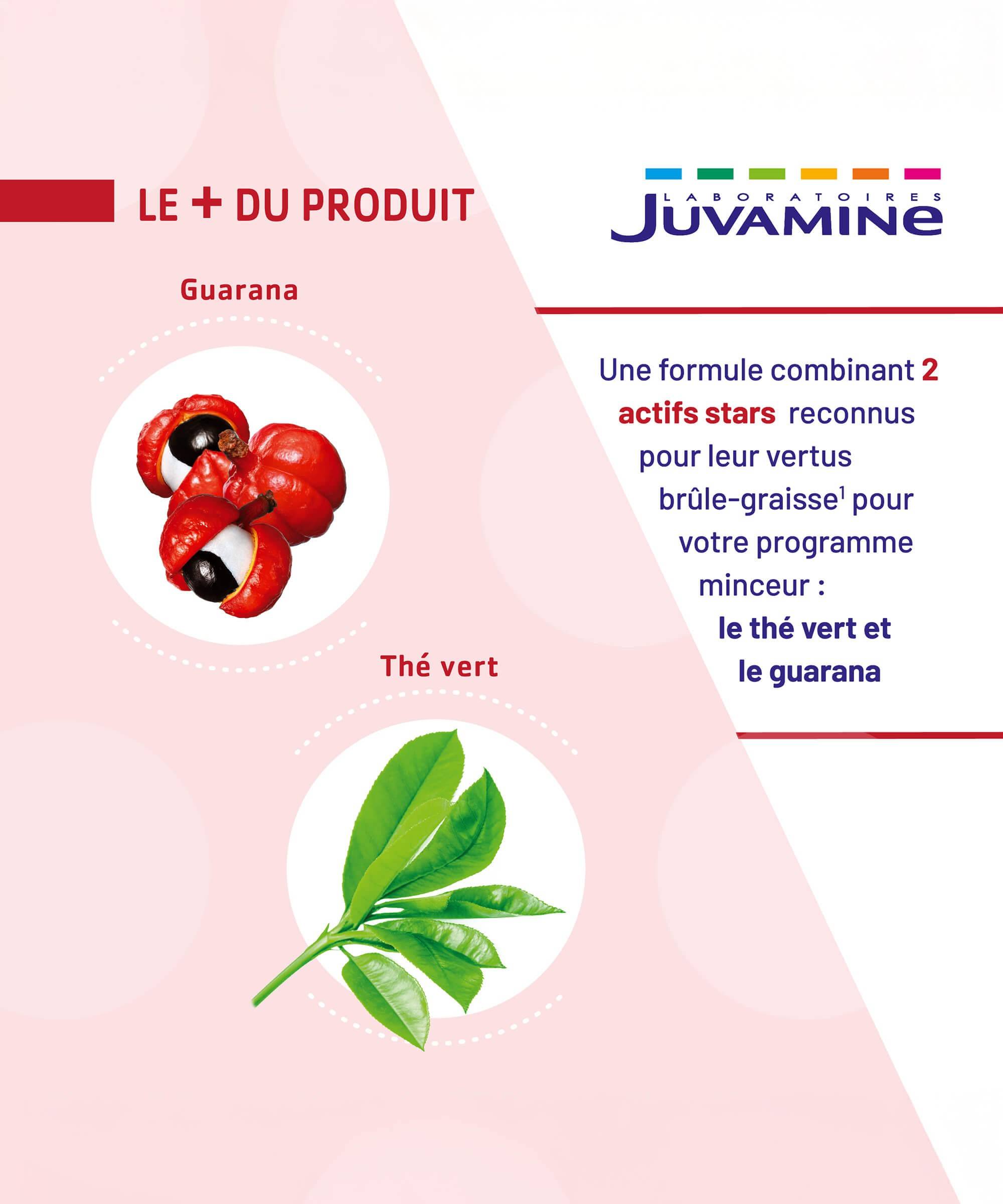 Thé Vert Guarana - Brûle-Graisse - Gélules | Juvamine