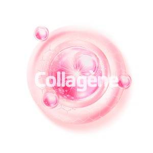 Collagène