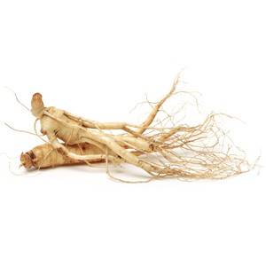 Ginseng de Sibérie