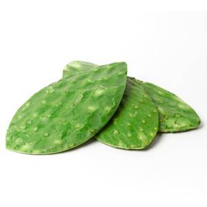 Nopal
