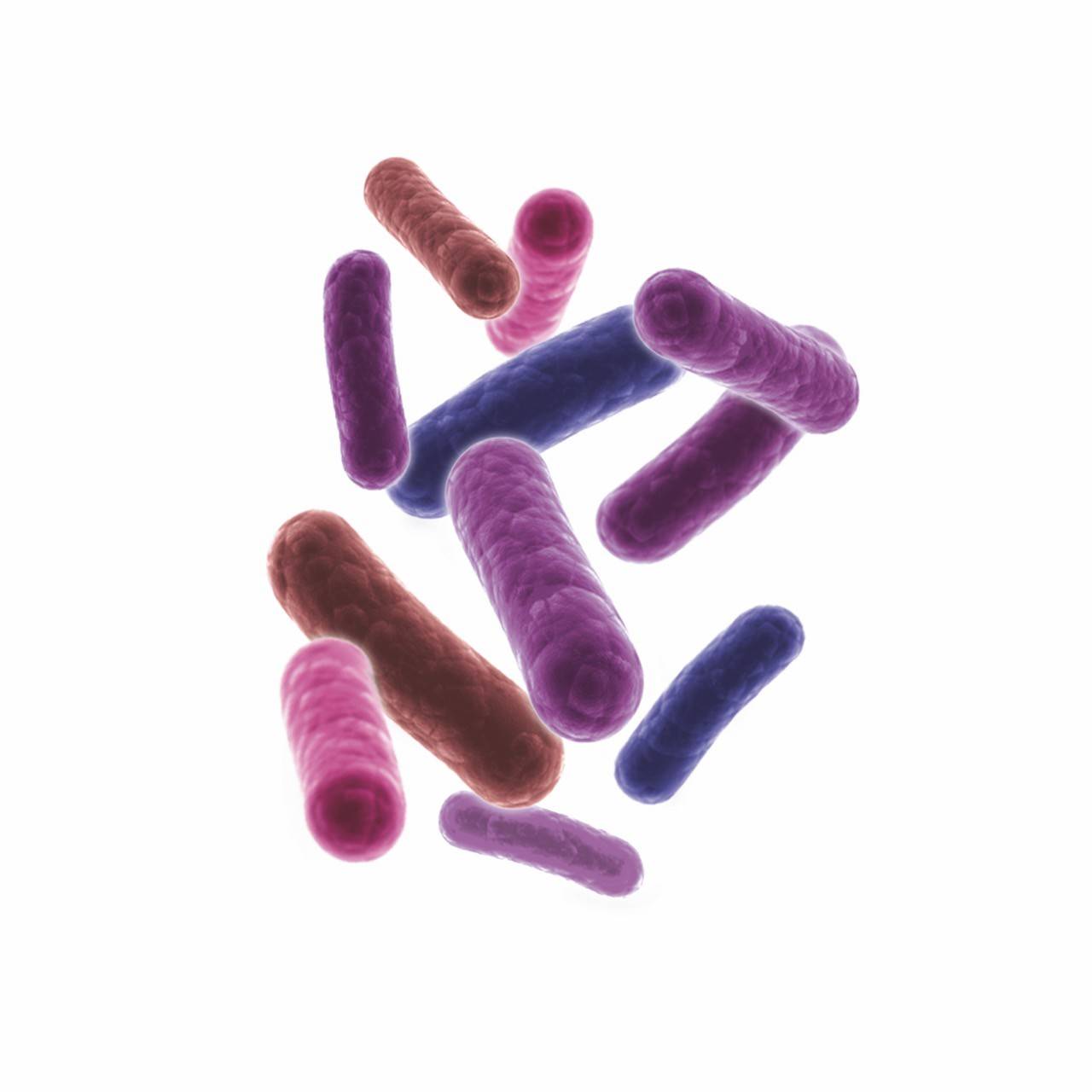 Probiotiques