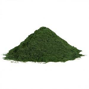 Spiruline