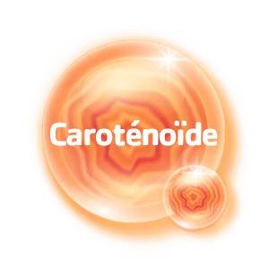 Caroténoïdes