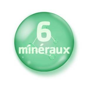 6 minéraux