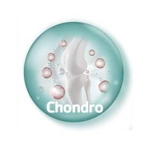 Chondroïtine